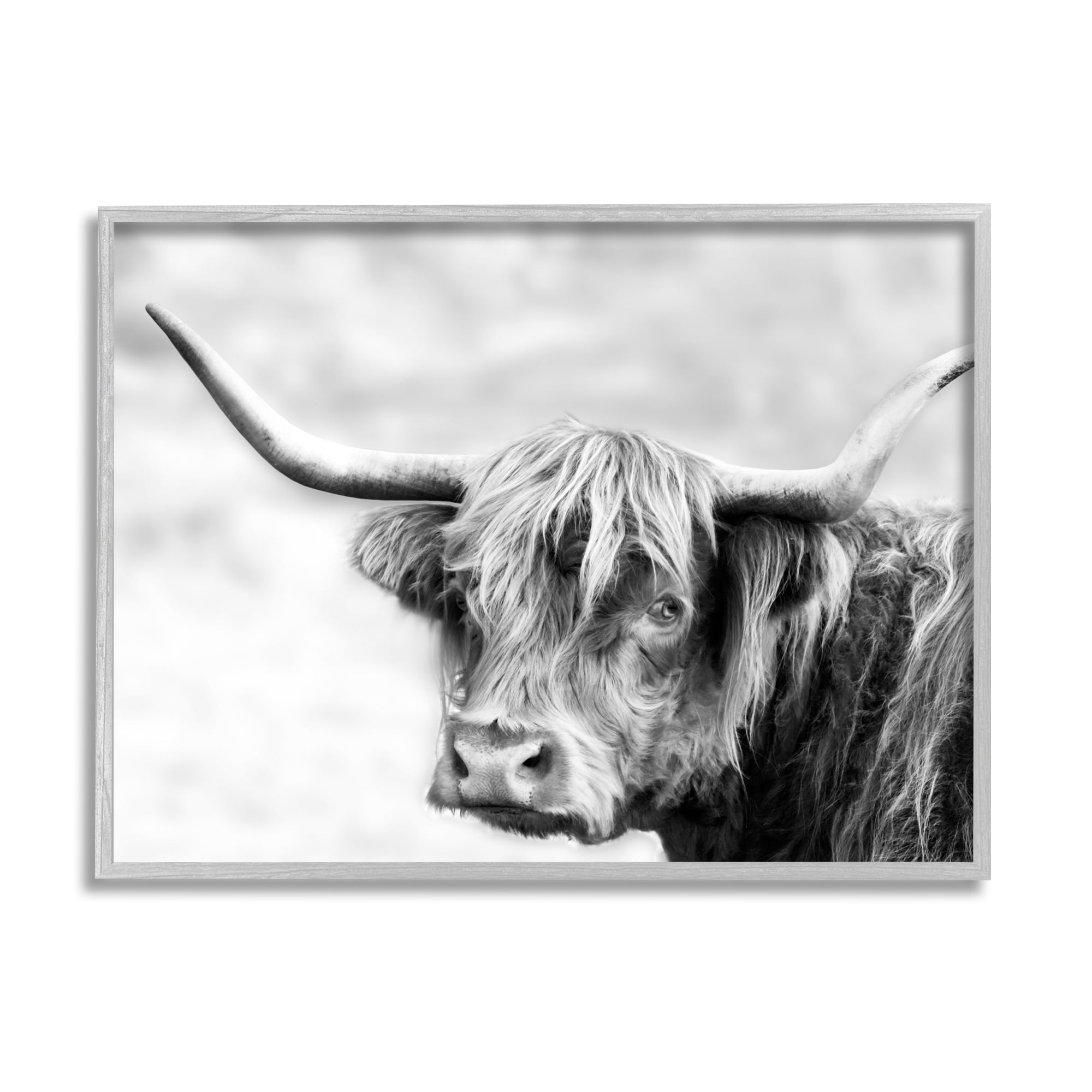 Stupell Industries Bold Country Cattle Black White Photography Wild Animal, 14 x 11, Design by Danita Delimont