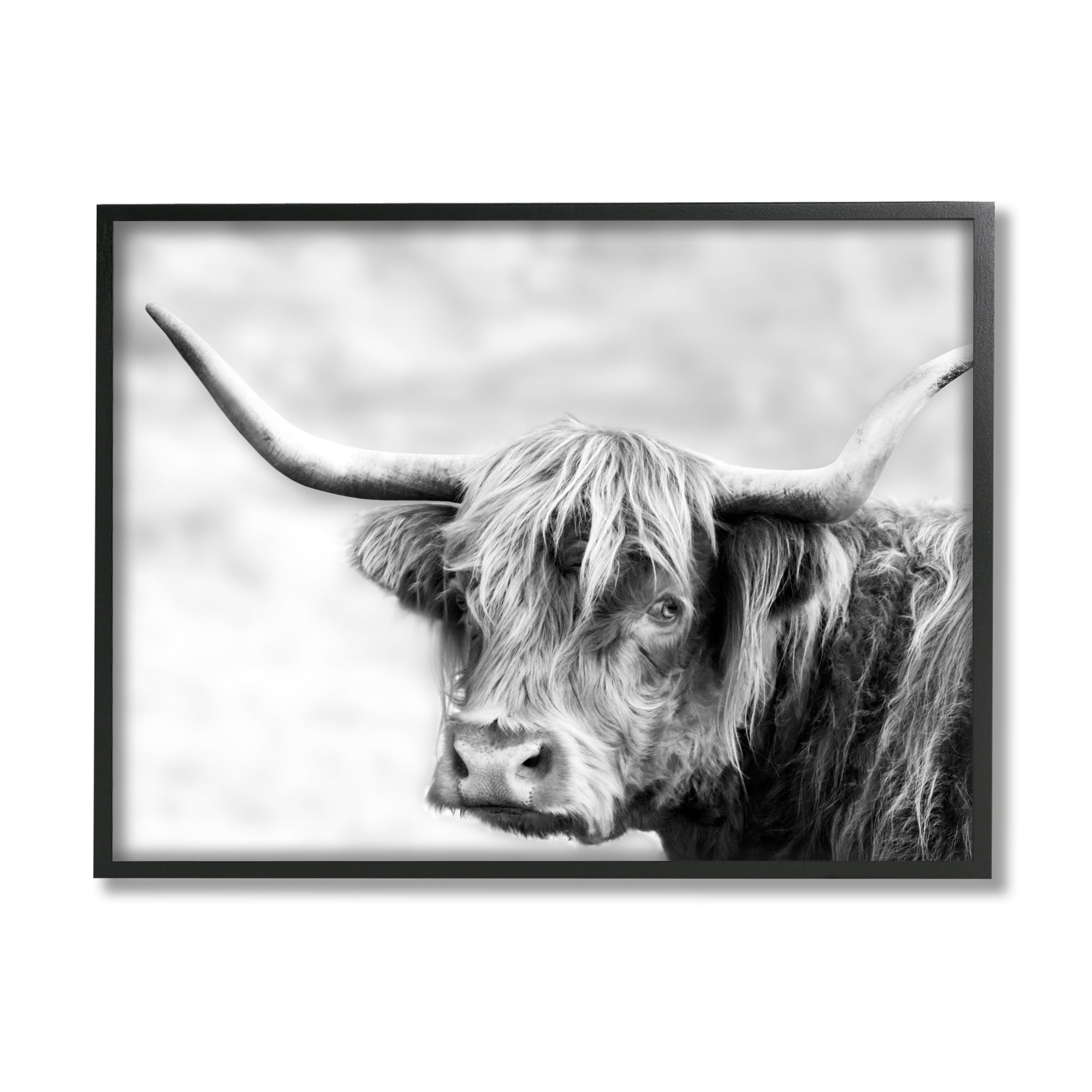 Stupell Industries Bold Country Cattle Black White Photography Wild Animal, 20 x 16, Design by Danita Delimont