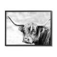 thumbnail image 1 of Stupell Industries Bold Country Cattle Black White Photography Wild Animal, 20 x 16, Design by Danita Delimont, 1 of 7