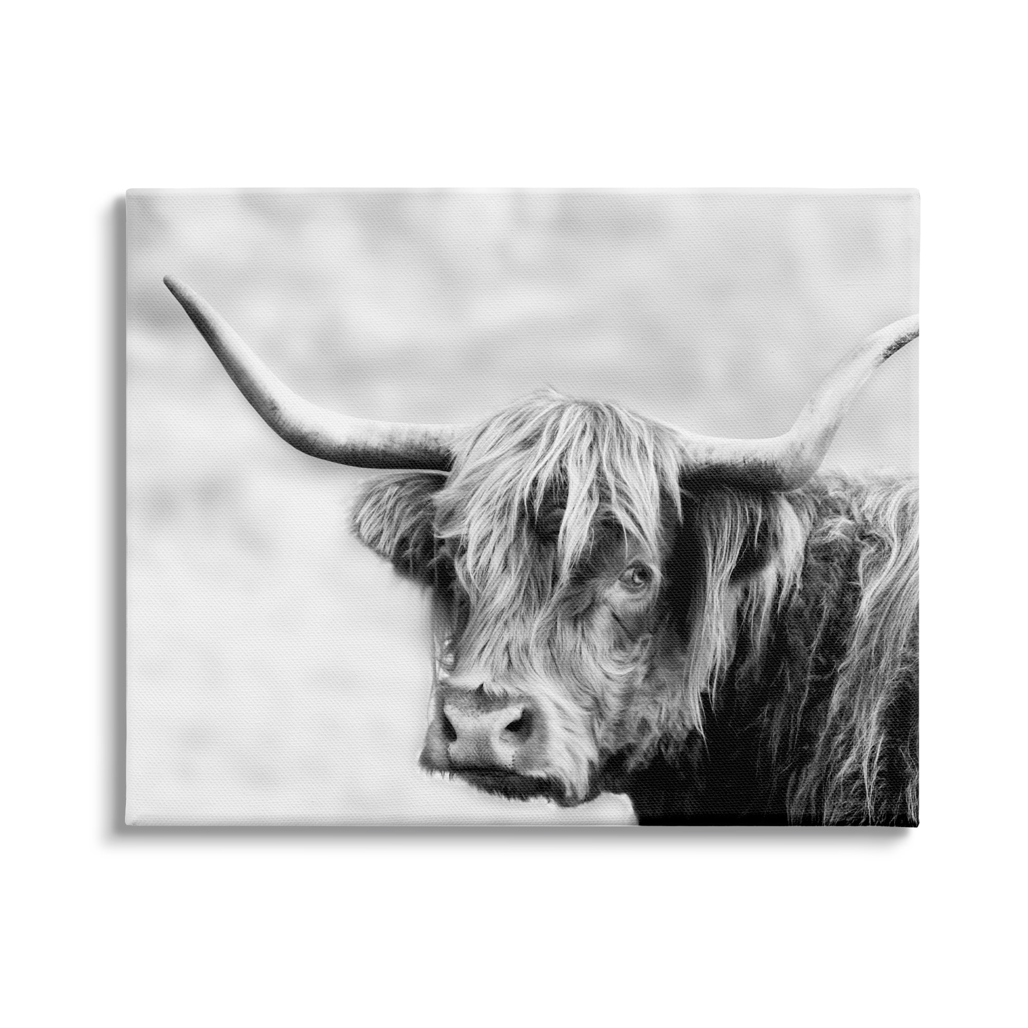 Stupell Industries Bold Country Cattle Black White Photography Wild Animal, 48 x 36, Design by Danita Delimont