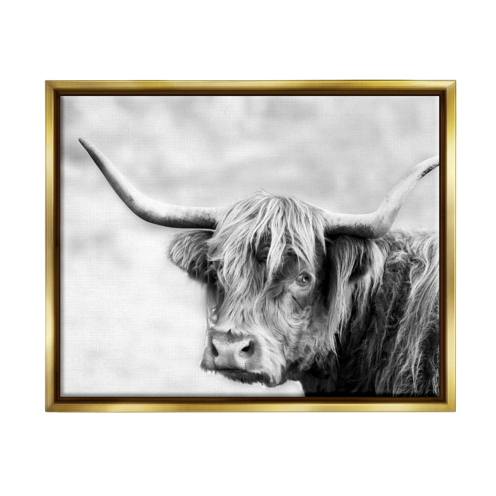 Stupell Industries Bold Country Cattle Black White Photography Wild Animal Metallic Gold Framed Floating Canvas Wall Art, 24x30, by Danita Delimont