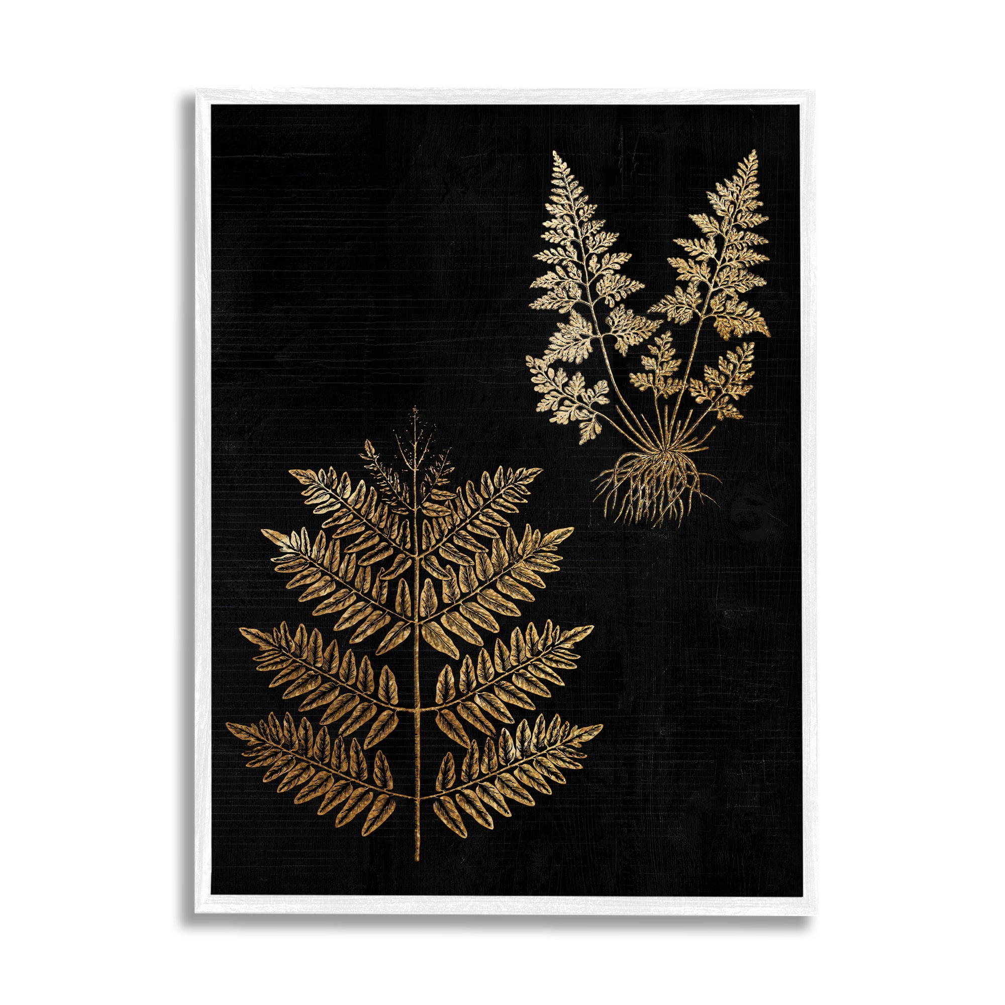 Stupell Industries Bold Fern Blade Illustration Rooted Forest Floor Plants, 11 x 14, Design by Daphne Polselli