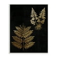 thumbnail image 1 of Stupell Industries Bold Fern Blade Illustration Rooted Forest Floor Plants, 13 x 19, Design by Daphne Polselli, 1 of 6