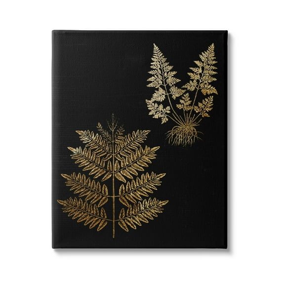 Stupell Industries Bold Fern Blade Illustration Rooted Forest Floor Plants, 24 x 30, Design by Daphne Polselli