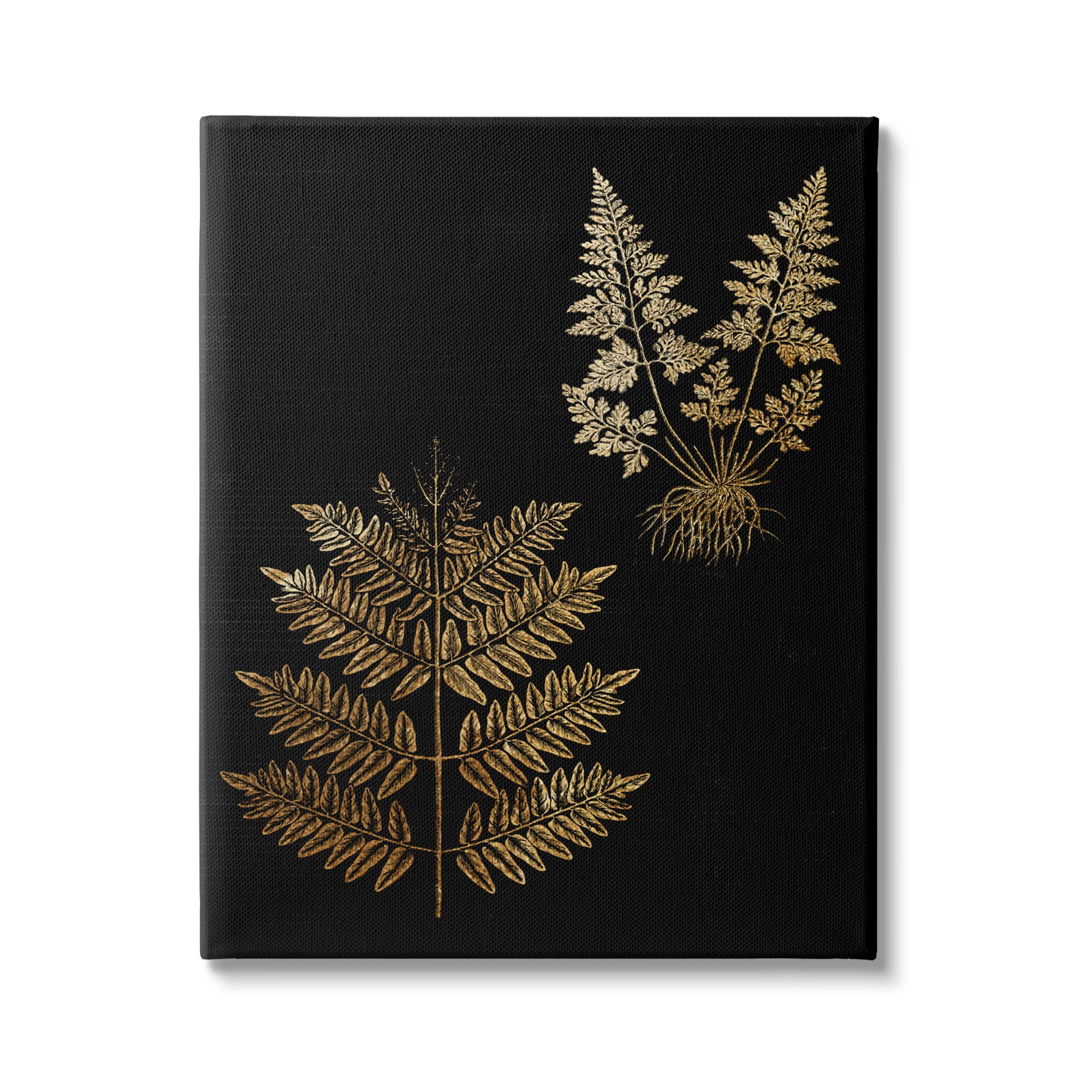 Stupell Industries Bold Fern Blade Illustration Rooted Forest Floor Plants, 30 x 40, Design by Daphne Polselli
