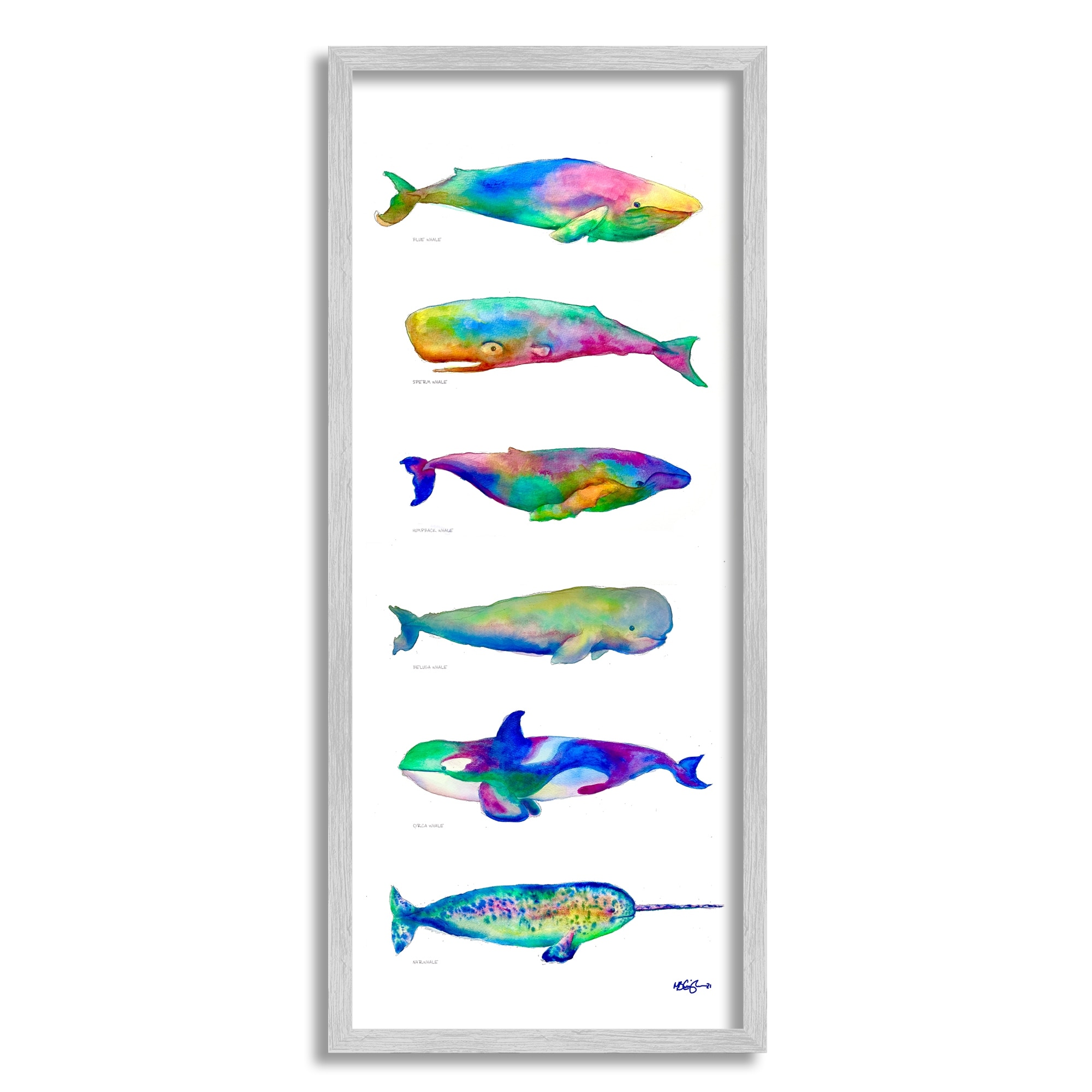 Stupell Industries Bold Kaleidoscopic Whale Narwhal Types Sea Life Chart, 10 x 24, Design by MB Cunningham
