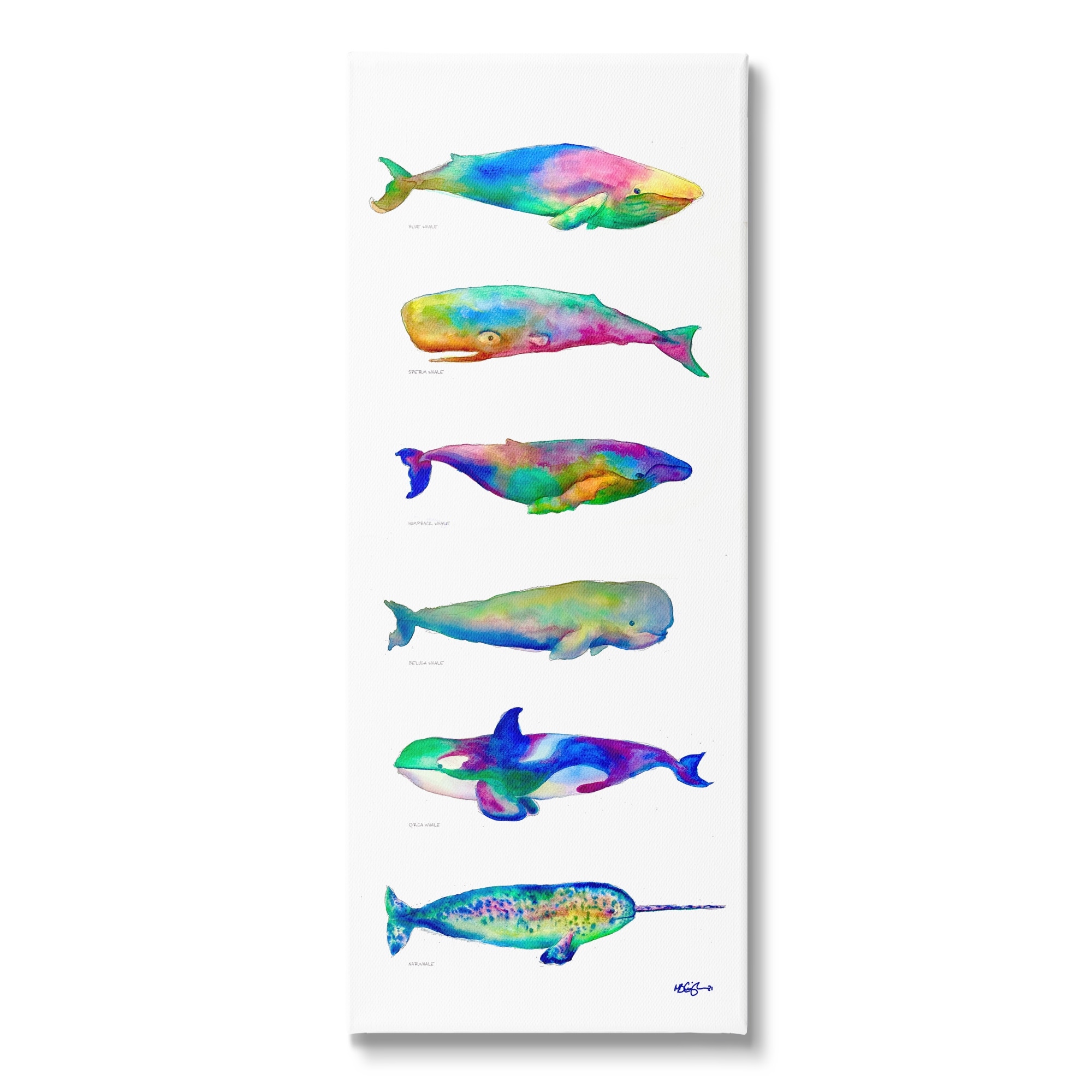 Stupell Industries Bold Kaleidoscopic Whale Narwhal Types Sea Life Chart, 10 x 24, Design by MB Cunningham