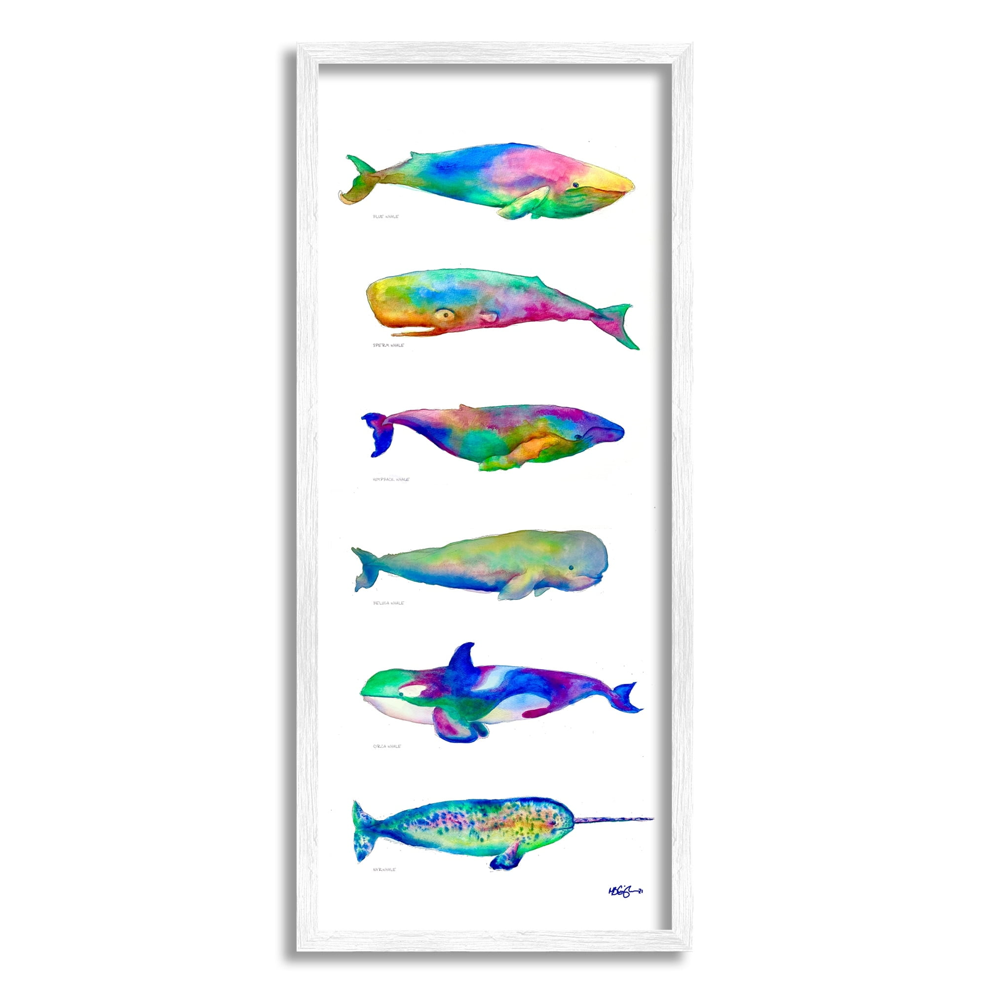 Stupell Industries Bold Kaleidoscopic Whale Narwhal Types Sea Life Chart, 13 x 30, Design by MB Cunningham