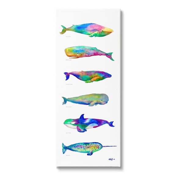 Stupell Industries Bold Kaleidoscopic Whale Narwhal Types Sea Life Chart, 20 x 48, Design by MB Cunningham