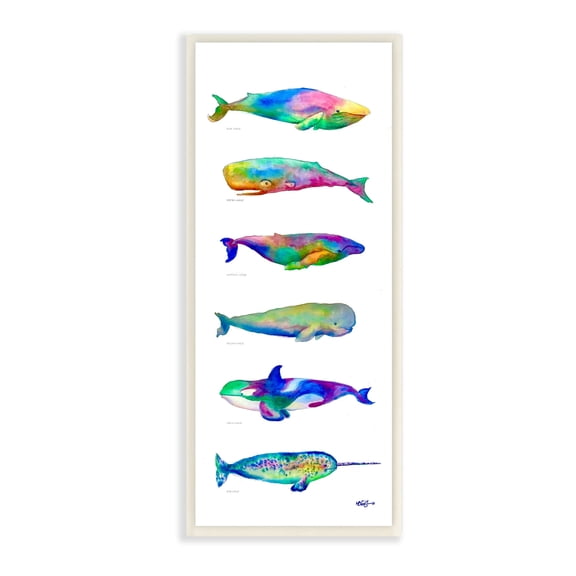 Stupell Industries Bold Kaleidoscopic Whale Narwhal Types Sea Life Chart, 7 x 17, Design by MB Cunningham