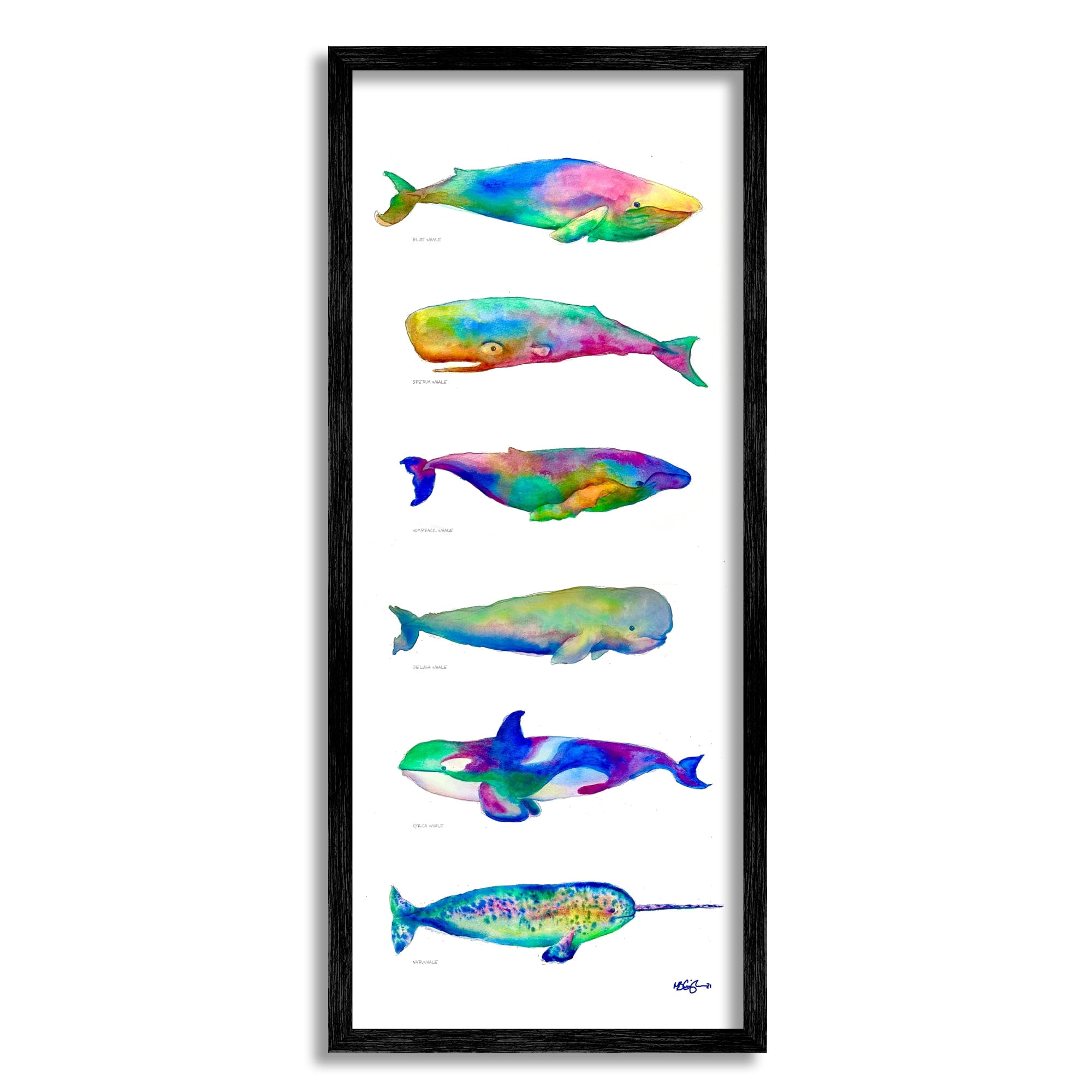 Stupell Industries Bold Kaleidoscopic Whale Narwhal Types Sea Life Chart Paintings Black Framed Art Print Wall Art, 10x24, by MB Cunningham