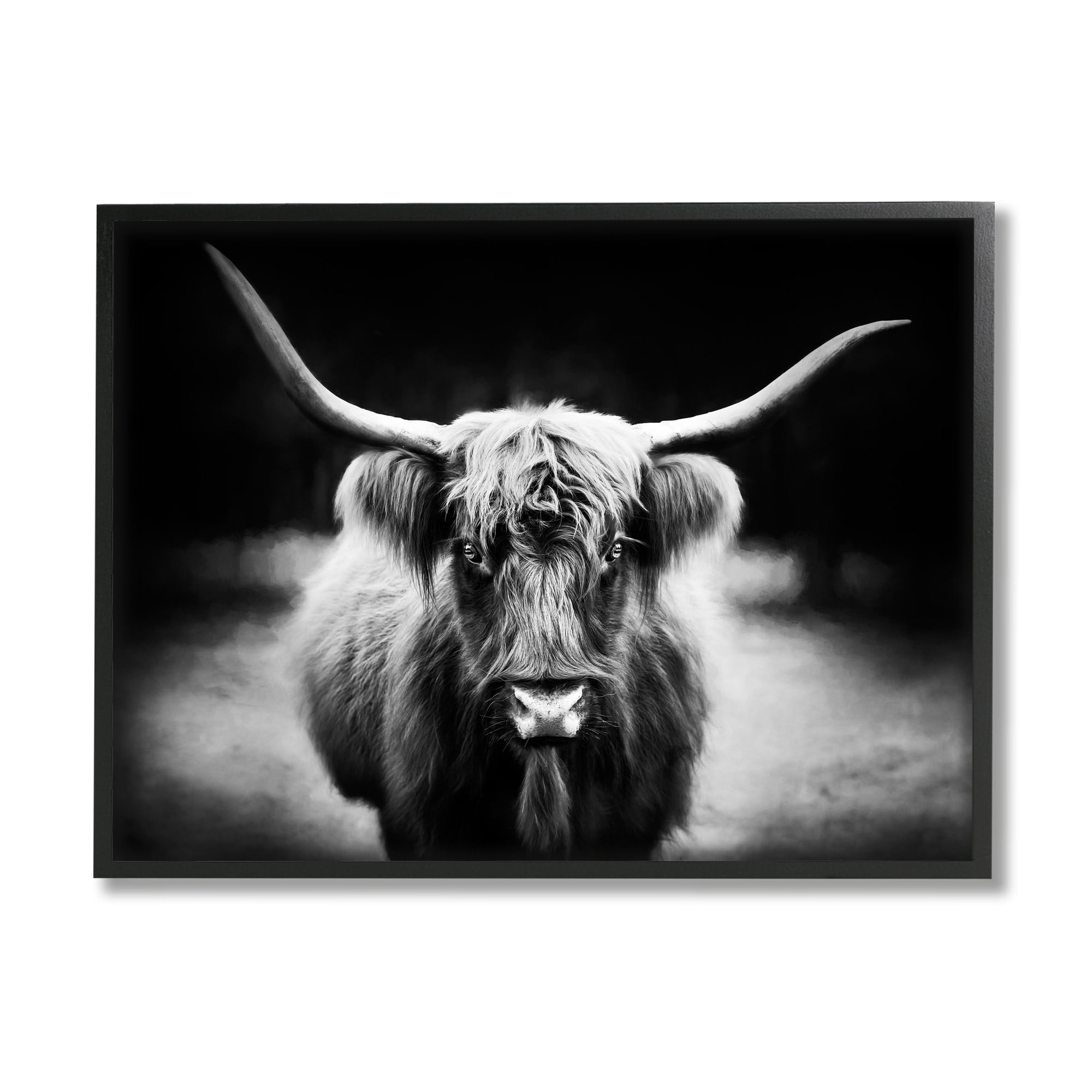 Stupell Industries Bold Longhorn Portrait Black White Cattle Photography, 14 x 11,Design by PHBurchett