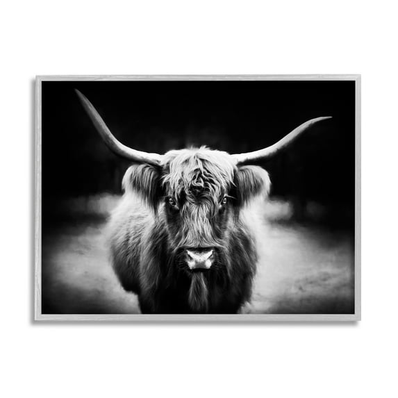 Stupell Industries Bold Longhorn Portrait Black White Cattle Photography, 14 x 11,Design by PHBurchett