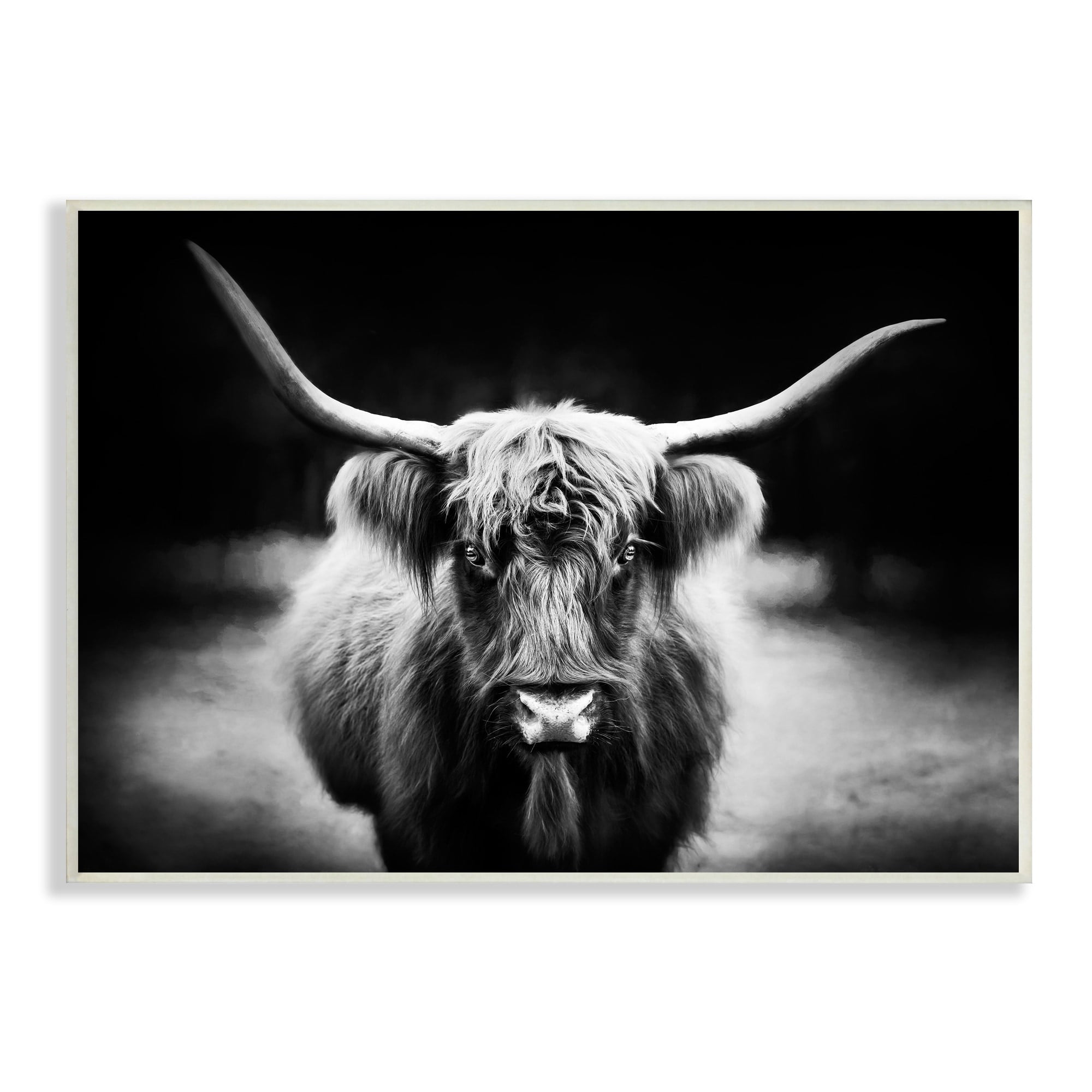 Stupell Industries Bold Longhorn Portrait Black White Cattle Photography, 15 x 10,Design by PHBurchett
