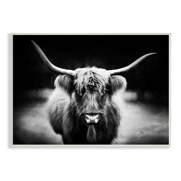 Stupell Industries Bold Longhorn Portrait Black White Cattle Photography, 19 x 13,Design by PHBurchett