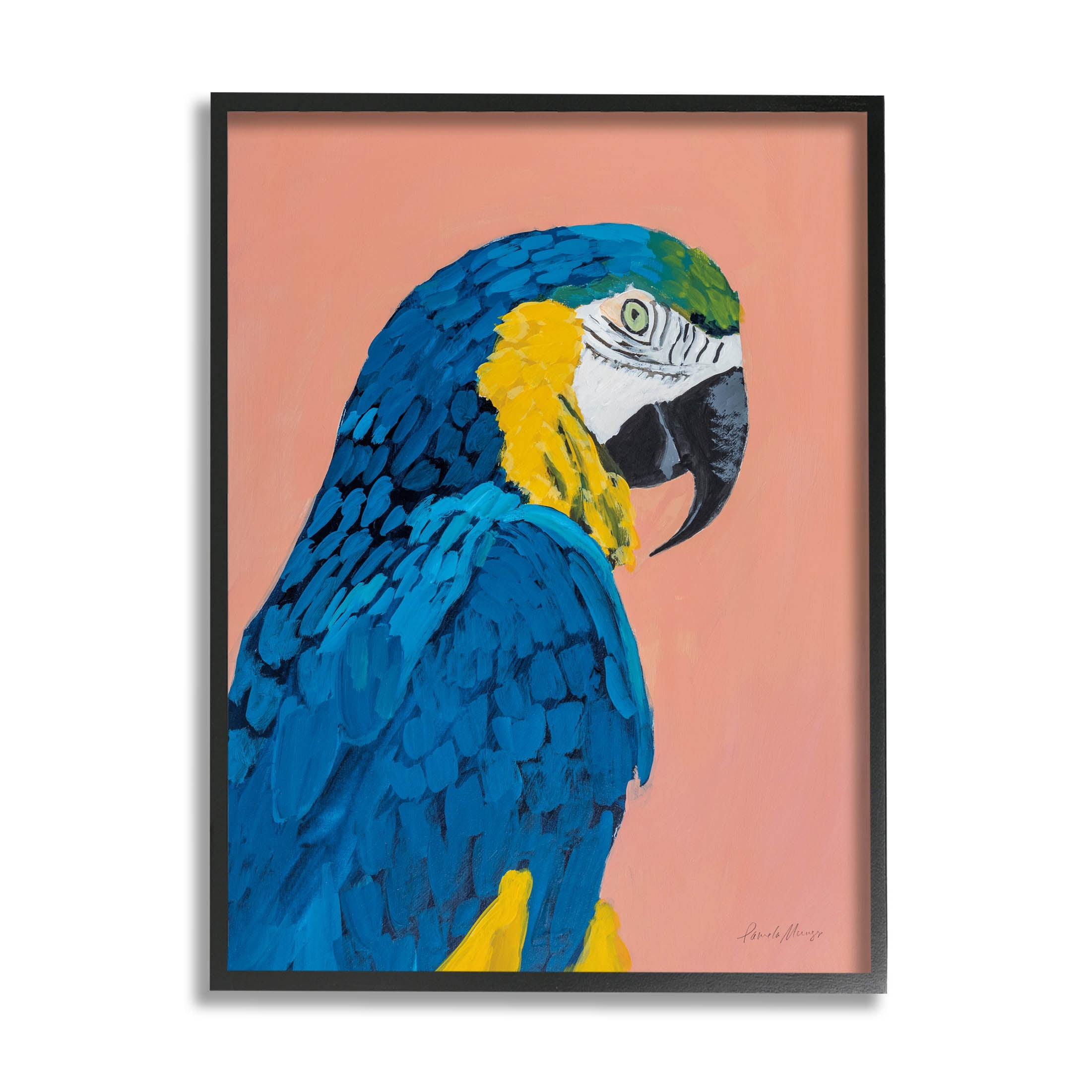 Stupell Industries Bold Parrot Wildlife Portrait Painting Black Framed Art Print Wall Art, Design by Pamela Munger