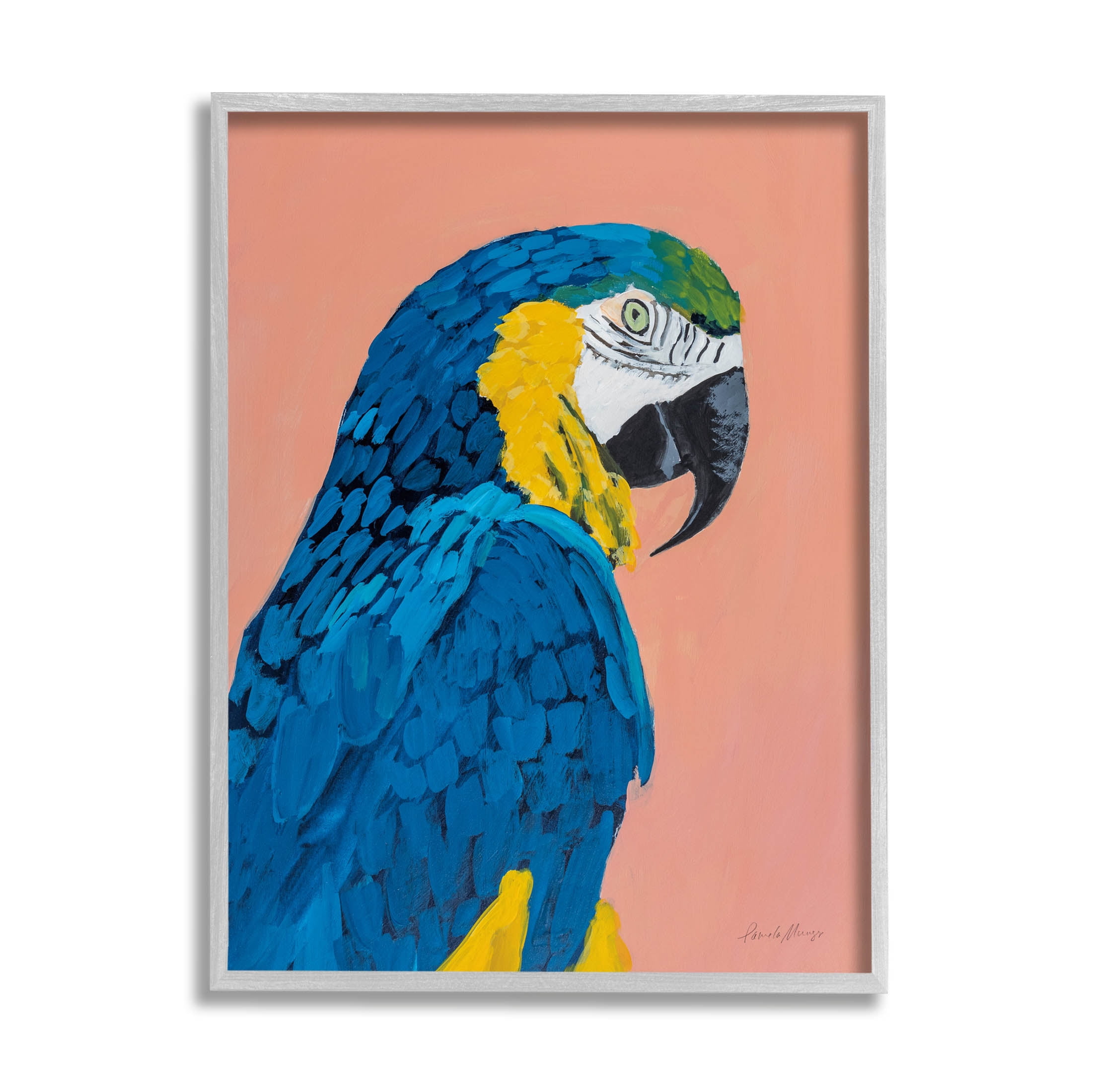 Stupell Industries Bold Parrot Wildlife Portrait Painting Gray Framed Art Print Wall Art, Design by Pamela Munger