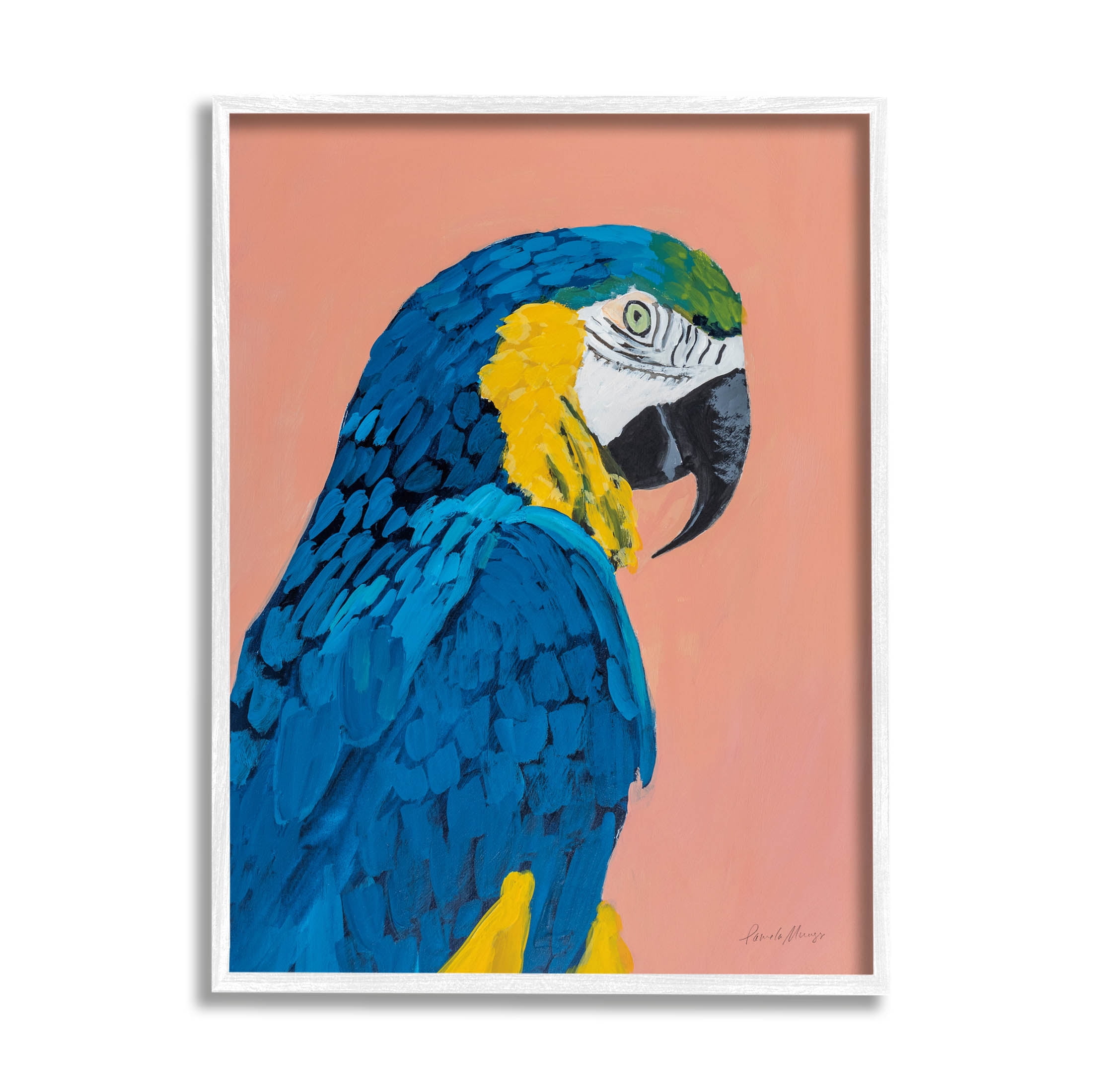 Stupell Industries Bold Parrot Wildlife Portrait Painting White Framed Art Print Wall Art, Design by Pamela Munger