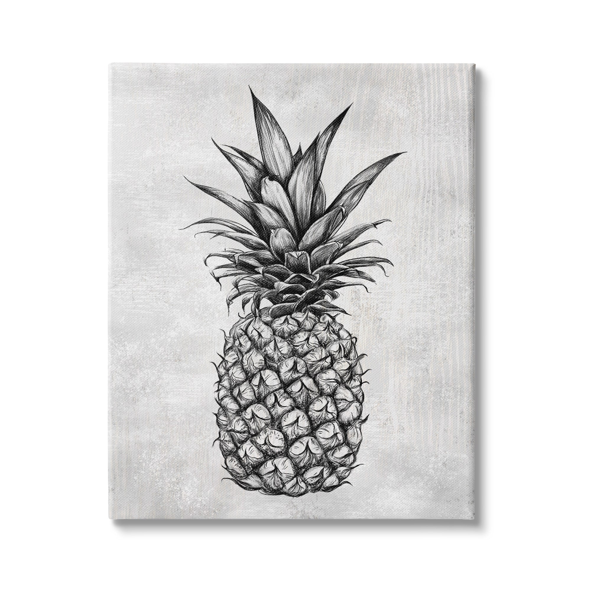 Bold Pineapple Line Drawing Black and White Canvas Wall Art, 16 x 20