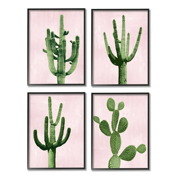 Stupell Industries Bold Pink Desert Cactus Plants Arid Vegetation Graphic Art Black Framed Art Print Wall Art, Set of 4, Design by Mia Jensen