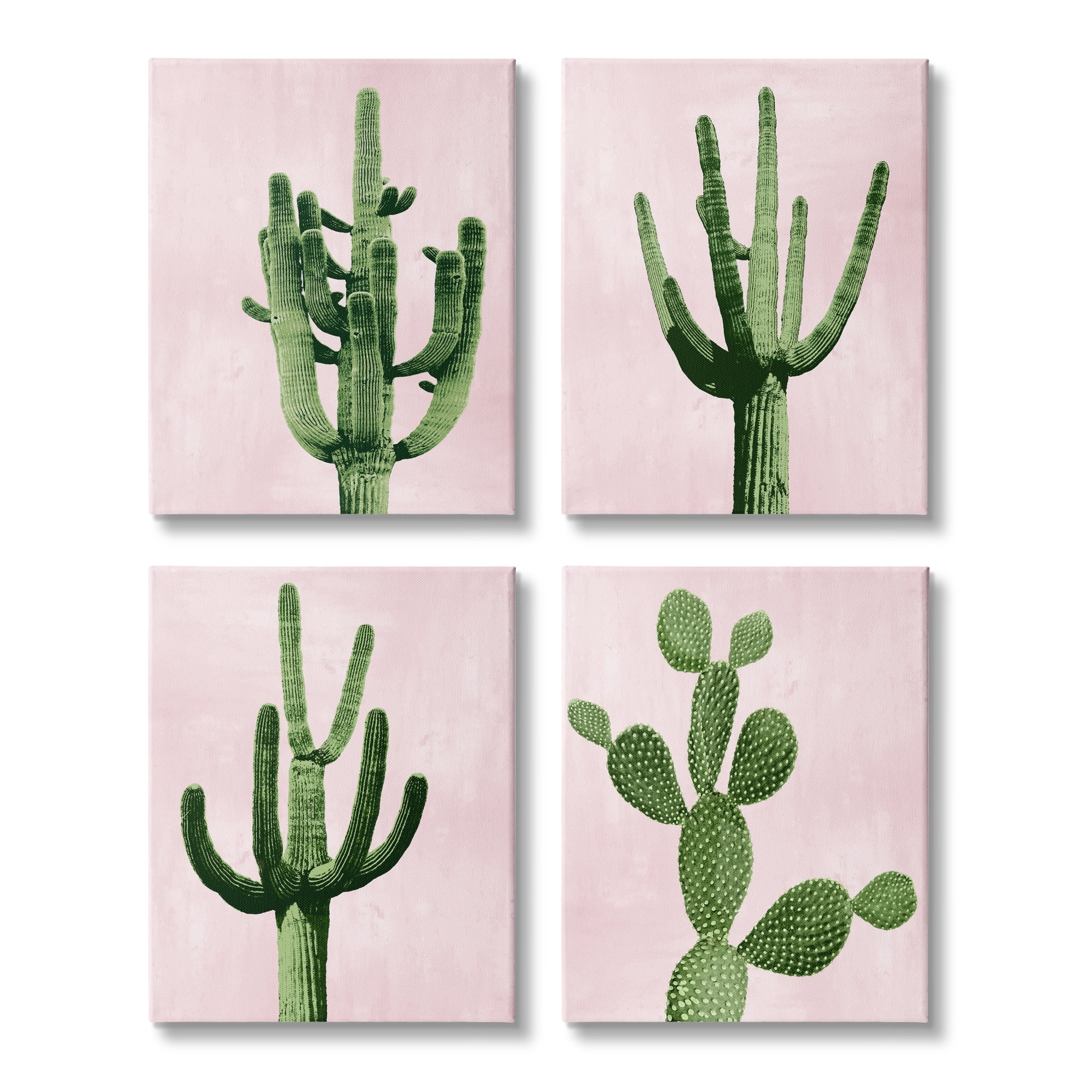 Stupell Industries Bold Pink Desert Cactus Plants Arid Vegetation Graphic Art Gallery Wrapped Canvas Print Wall Art, Set of 4, Design by Mia Jensen