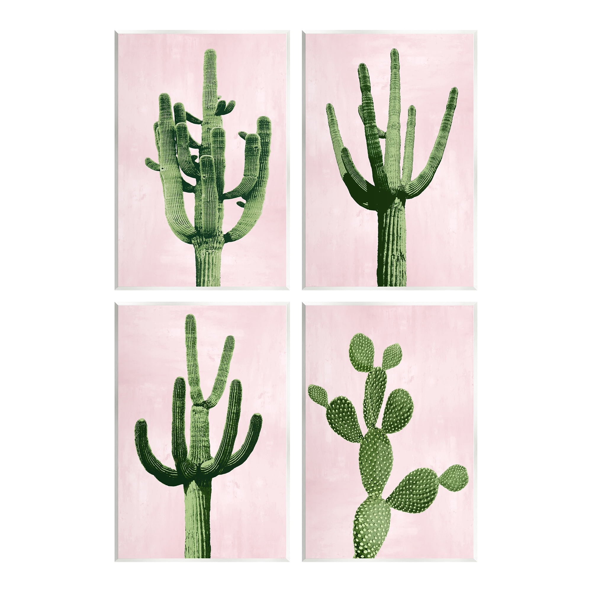 Stupell Industries Bold Pink Desert Cactus Plants Arid Vegetation Graphic Art Unframed Art Print Wall Art, Set of 4, Design by Mia Jensen