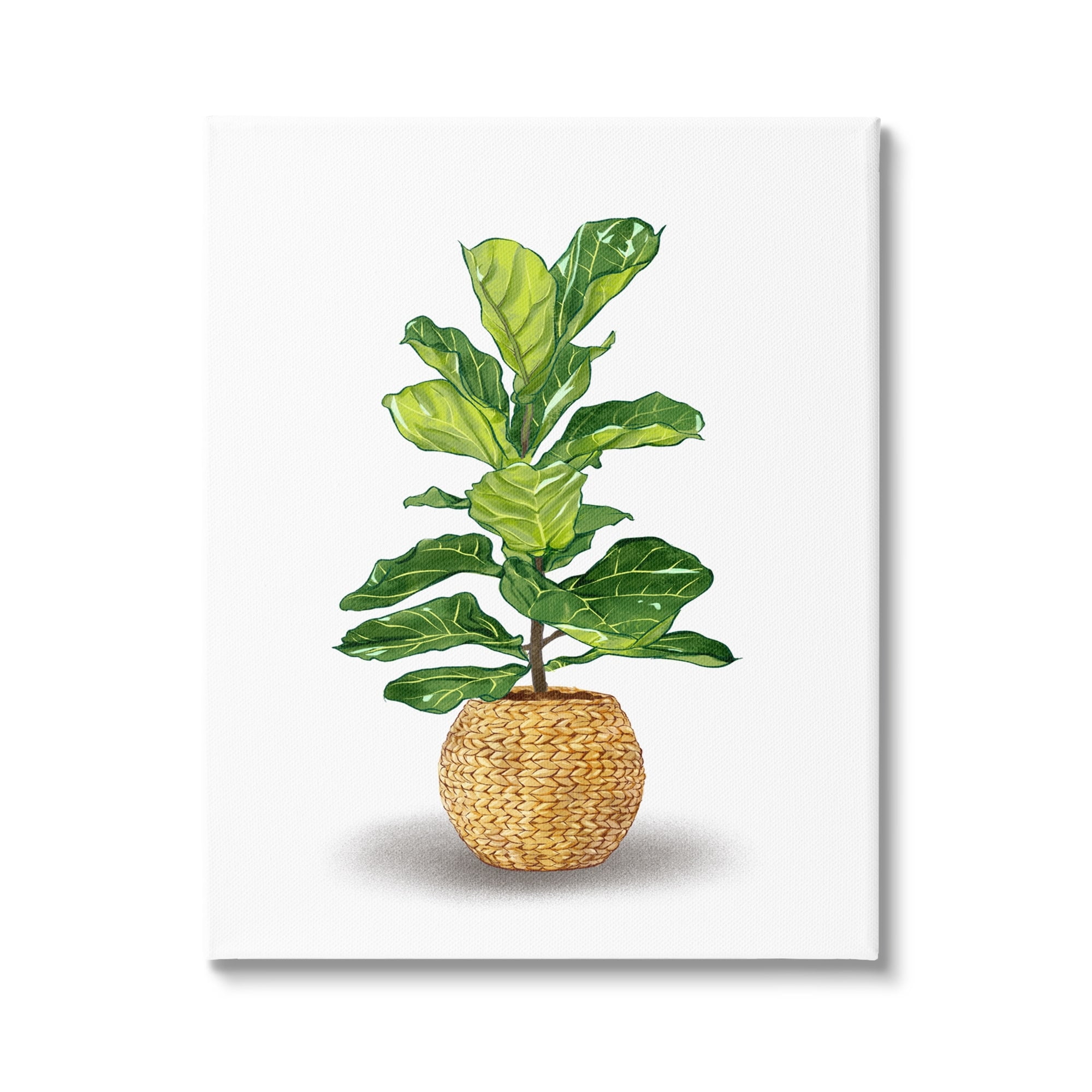 Stupell Industries Bold Potted House Plant Green Leaves Woven Basket , 24 x 30, Design by Ziwei Li