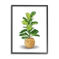 thumbnail image 1 of Stupell Industries Bold Potted House Plant Green Leaves Woven Basket Graphic Art Black Framed Art Print Wall Art, 16x20, by Ziwei Li, 1 of 5