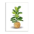 thumbnail image 1 of Stupell Industries Bold Potted House Plant Green Leaves Woven Basket Graphic Art Unframed Art Print Wall Art, 10x15, by Ziwei Li, 1 of 5