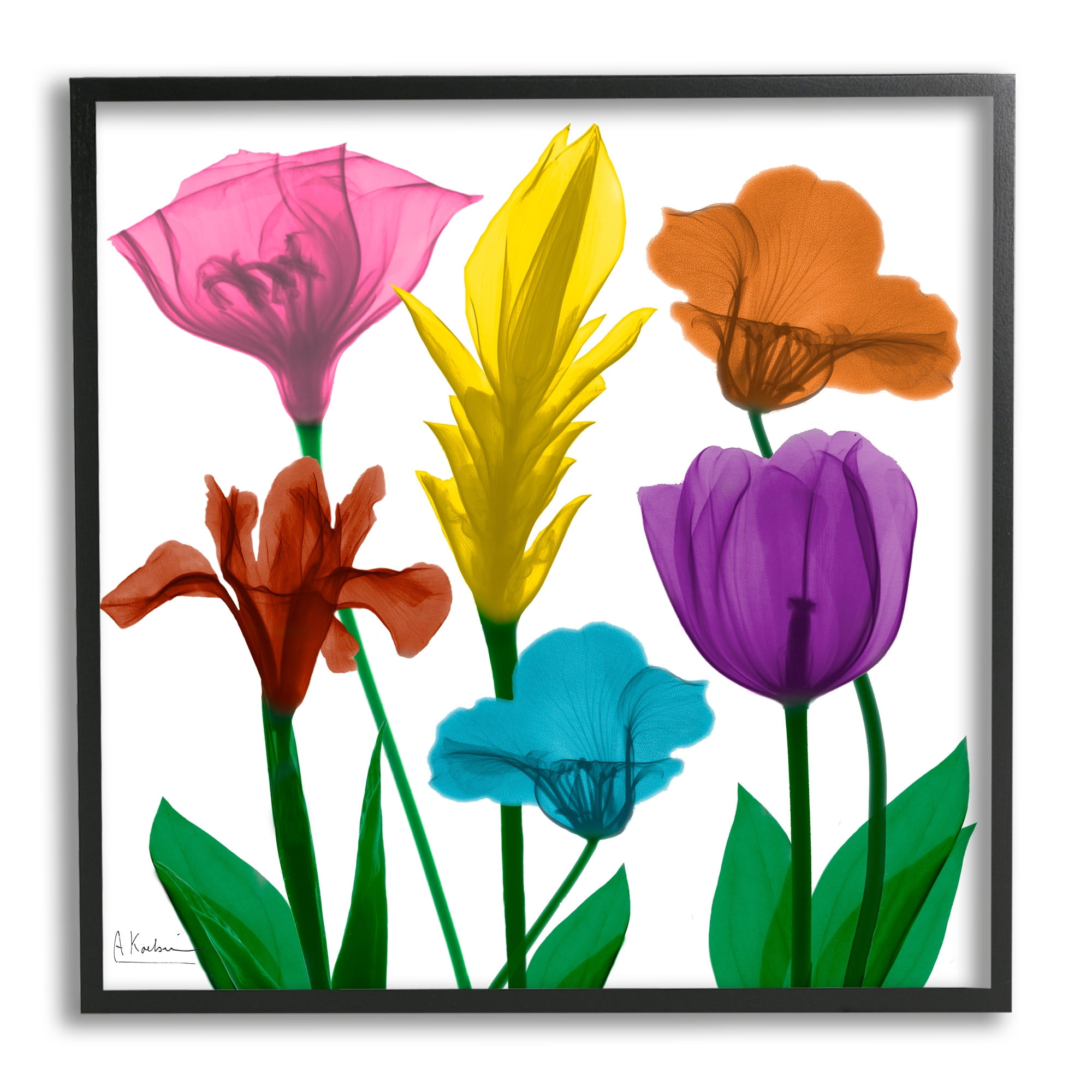 Stupell Industries Bold Rainbow Spring Flowers Translucent Floral Botanical & Floral Photography Black Framed Art Print Wall Art, 24 x 24