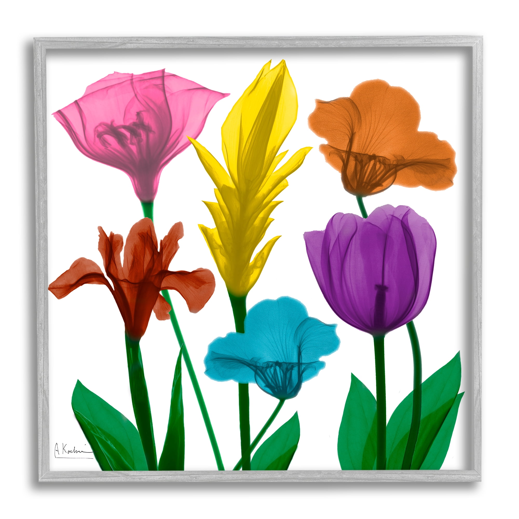Stupell Industries Bold Rainbow Spring Flowers Translucent Floral Botanical & Floral Photography Gray Framed Art Print Wall Art, 12 x 12