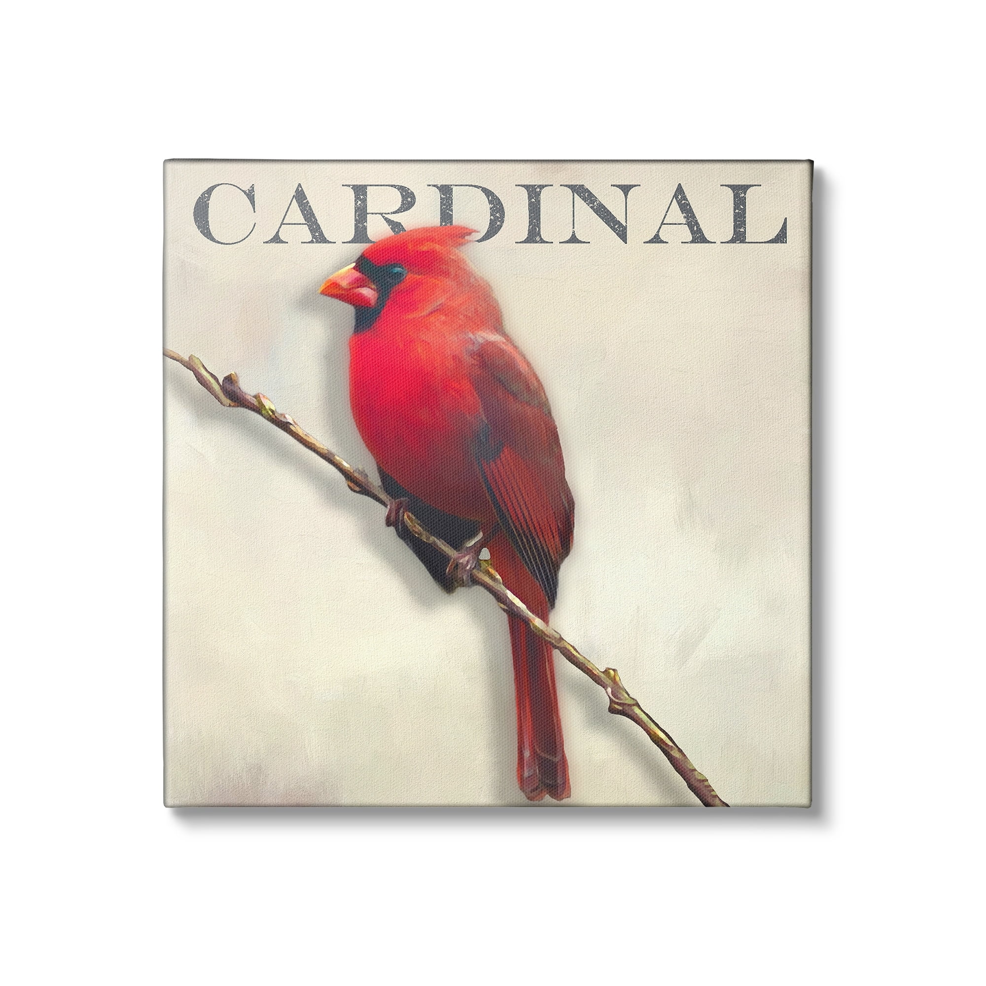 Stupell Industries Bold Red Cardinal Bird Portrait Rustic Text Design Canvas Wall Art, 17 x 17, Design by Alpenglow Workshop