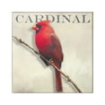 thumbnail image 1 of Bold Red Cardinal Bird Portrait Rustic Text Design Animals & Insects Graphic Art Gallery-Wrapped Canvas Print Wall Art, 1 of 7