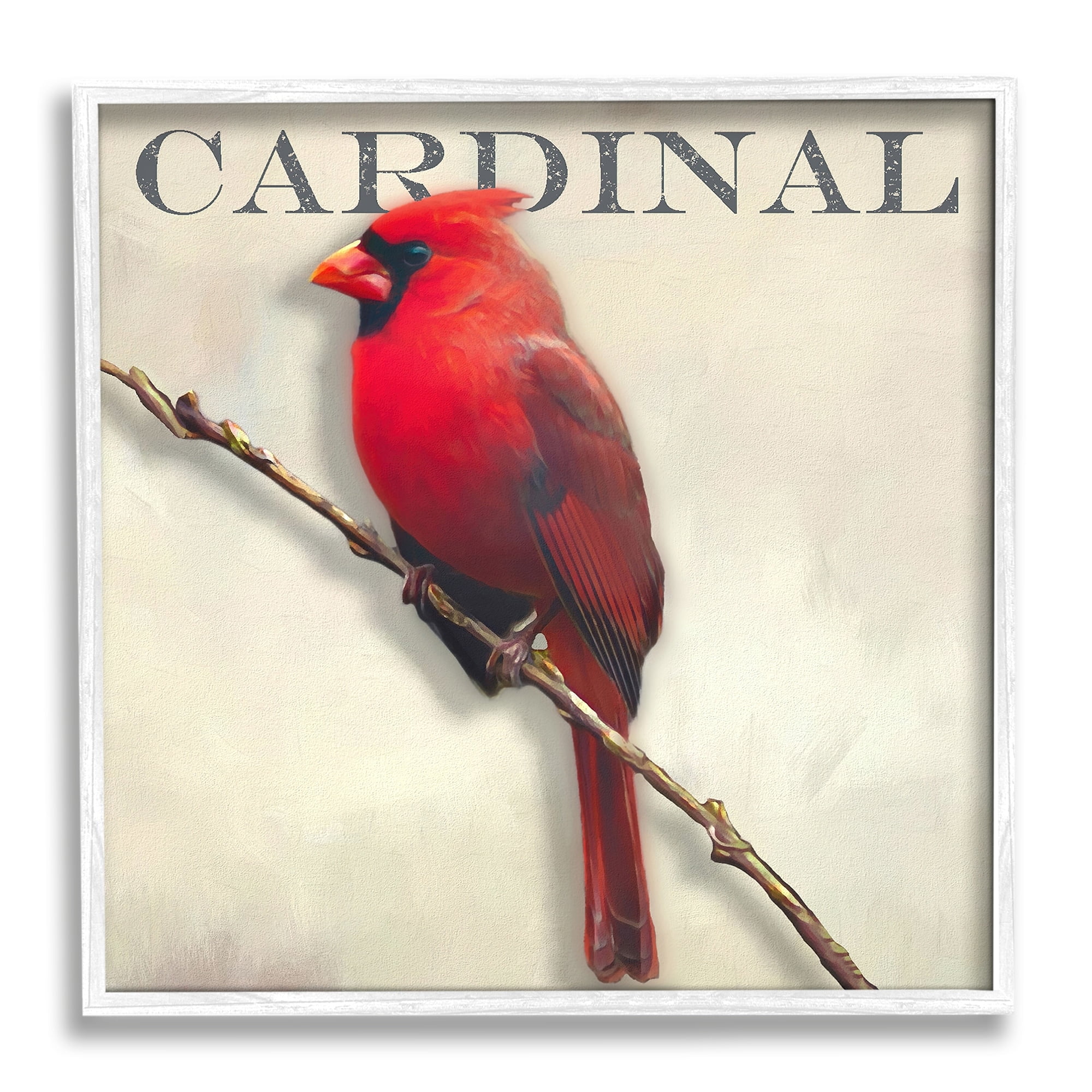 Stupell Industries Bold Red Cardinal Bird Portrait Rustic Text Design Framed Wall Art, 17 x 17, Design by Alpenglow Workshop