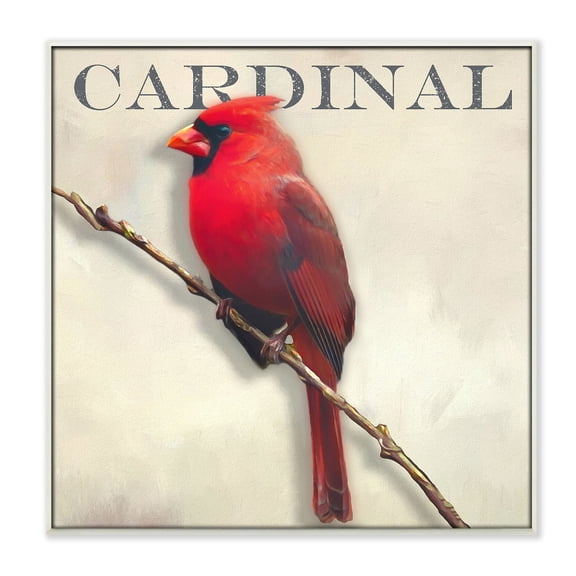 Stupell Industries Bold Red Cardinal Bird Portrait Rustic Text Design Wood Wall Art, 12 x 12, Design by Alpenglow Workshop