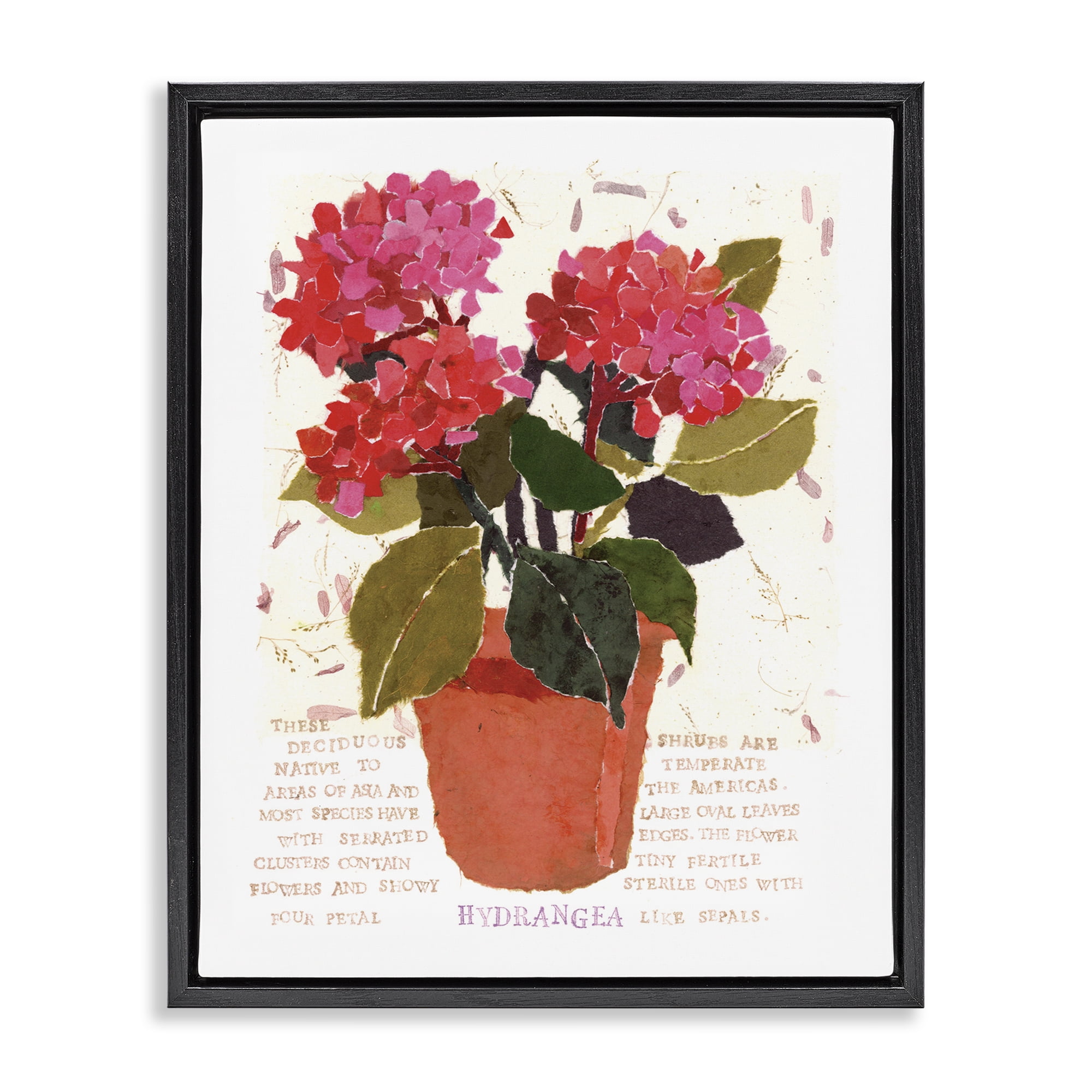 Stupell Industries Bold Red Hydrangea Botanical & Floral Painting Black Floater Framed Art Print Wall Art, 25 x 31