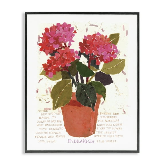 Stupell Industries Bold Red Hydrangea Botanical & Floral Painting Black Framed Art Print Wall Art, 11 x 14
