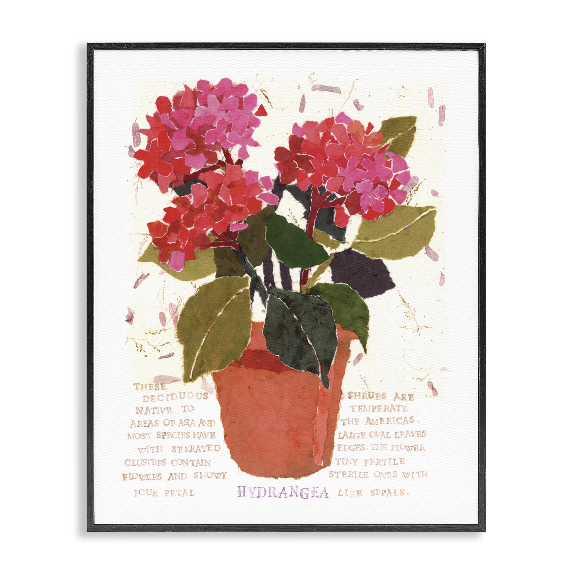 Stupell Industries Bold Red Hydrangea Botanical & Floral Painting Black Framed Art Print Wall Art, 16 x 20