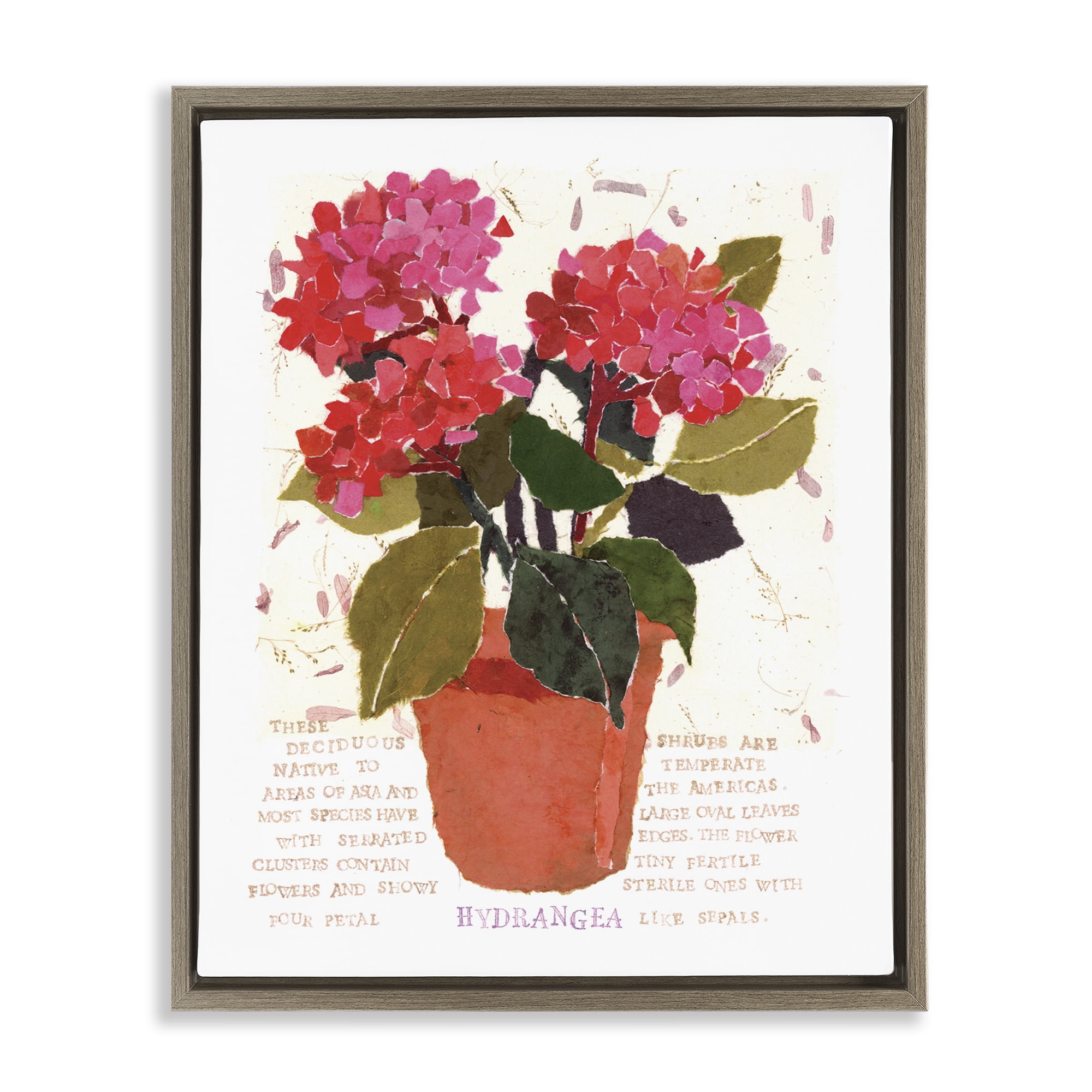 Stupell Industries Bold Red Hydrangea Botanical & Floral Painting Brown Floater Framed Art Print Wall Art, 25 x 31