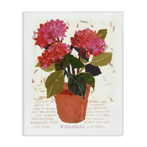 Stupell Industries Bold Red Hydrangea Botanical & Floral Painting Gallery Wrapped Canvas Art Print Wall Art, 16 x 20