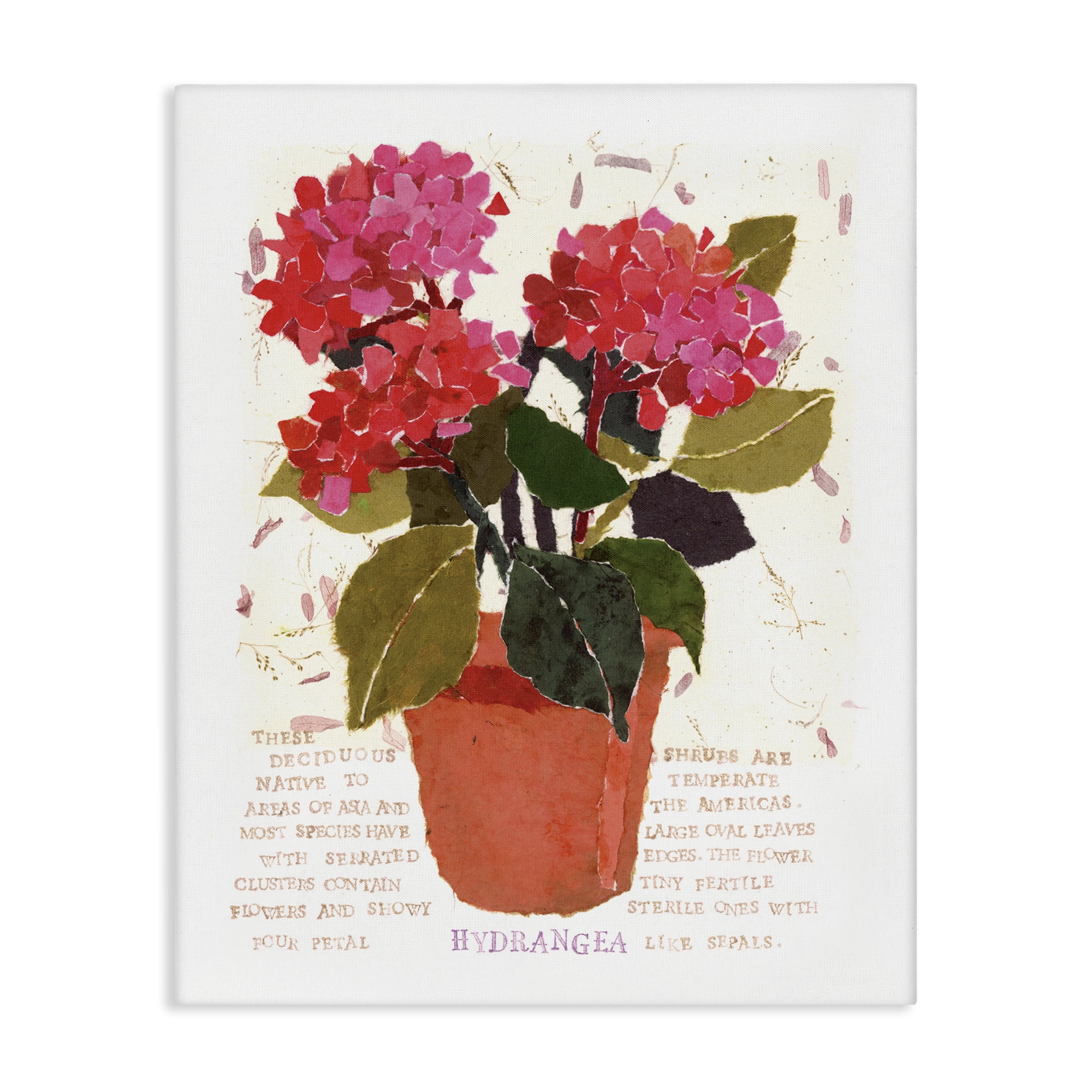 Stupell Industries Bold Red Hydrangea Botanical & Floral Painting Gallery Wrapped Canvas Art Print Wall Art, 36 x 48
