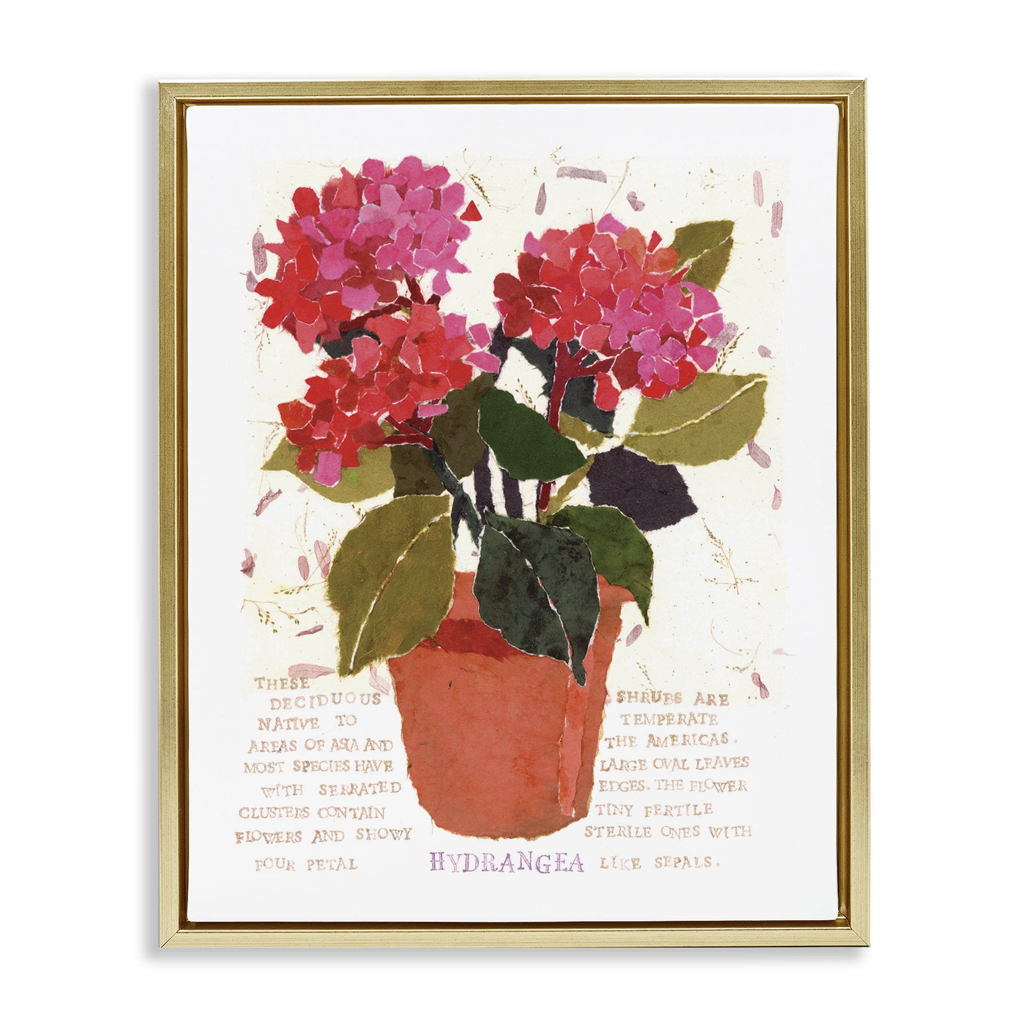 Stupell Industries Bold Red Hydrangea Botanical & Floral Painting Gold Floater Framed Art Print Wall Art, 17 x 21