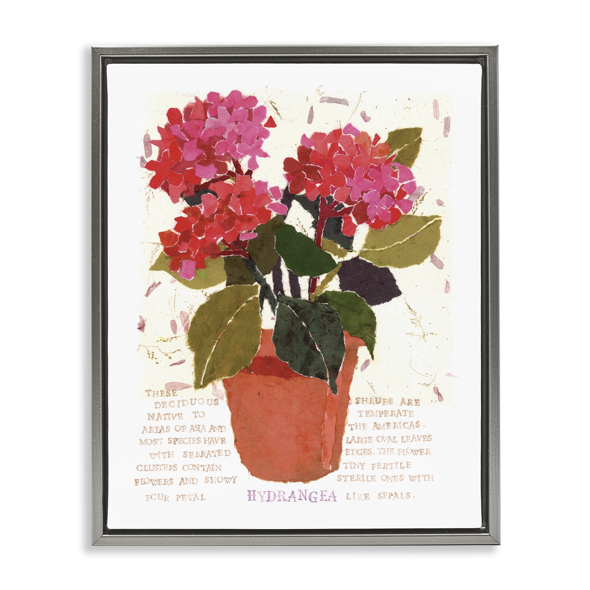 Stupell Industries Bold Red Hydrangea Botanical & Floral Painting Gray Floater Framed Art Print Wall Art, 17 x 21