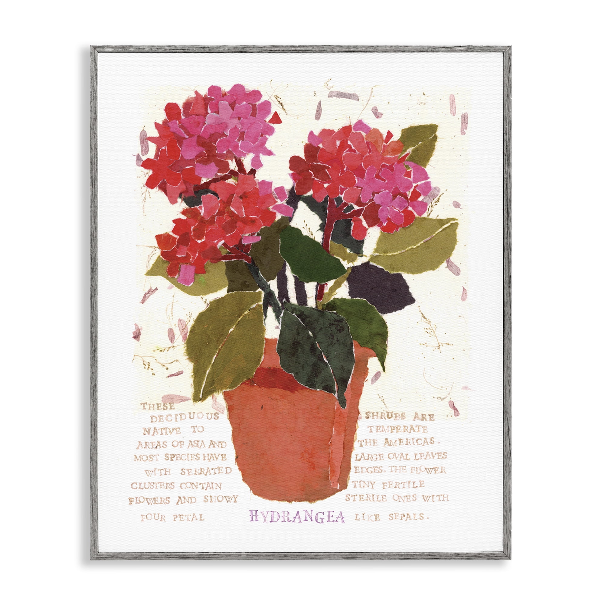 Stupell Industries Bold Red Hydrangea Botanical & Floral Painting Gray Framed Art Print Wall Art, 16 x 20