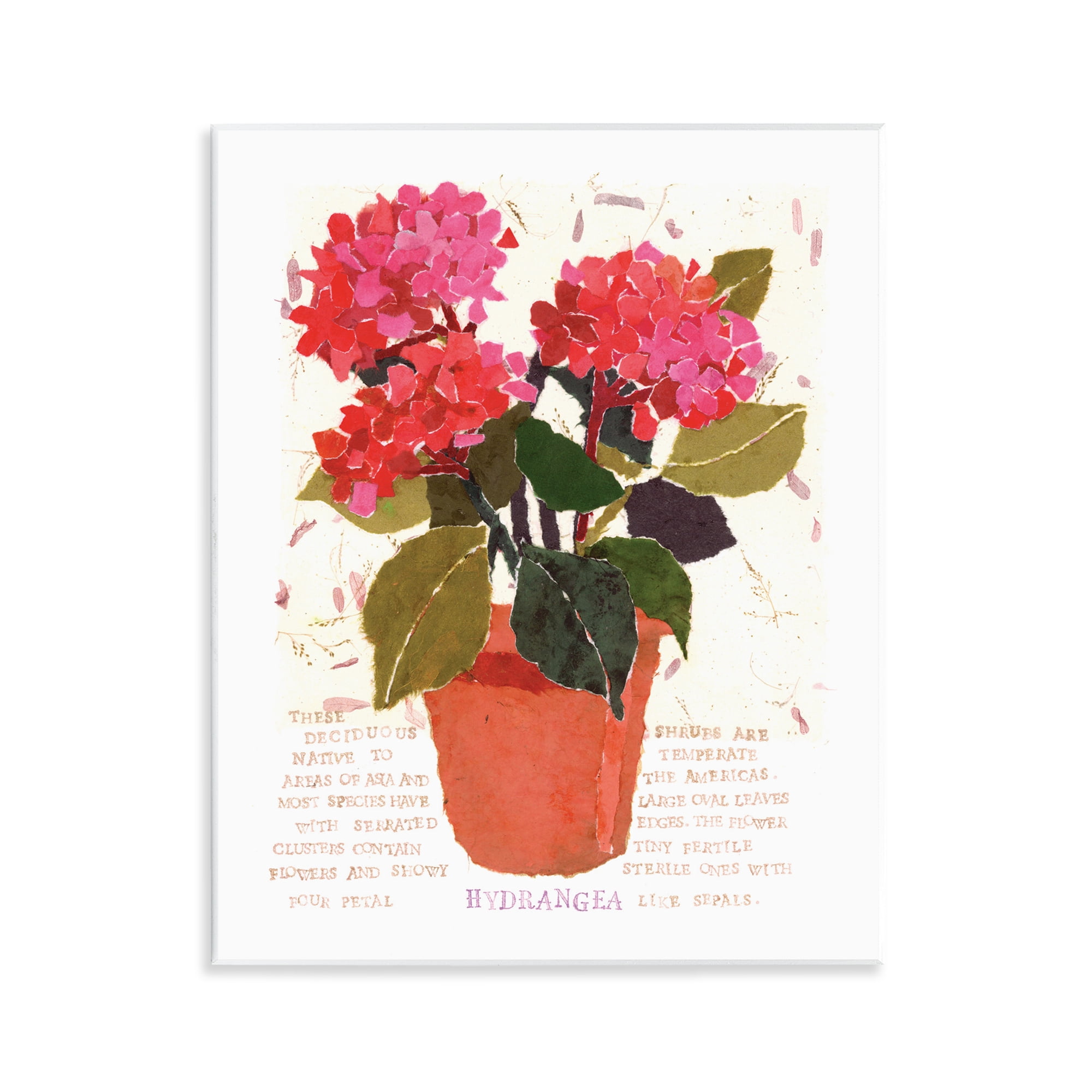 Stupell Industries Bold Red Hydrangea Botanical & Floral Painting Unframed Art Print Wall Art, 11 x 14