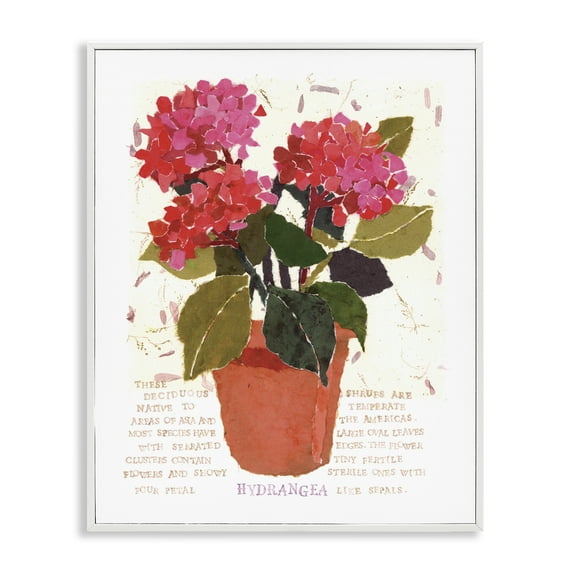 Stupell Industries Bold Red Hydrangea Botanical & Floral Painting White Framed Art Print Wall Art, 24 x 30