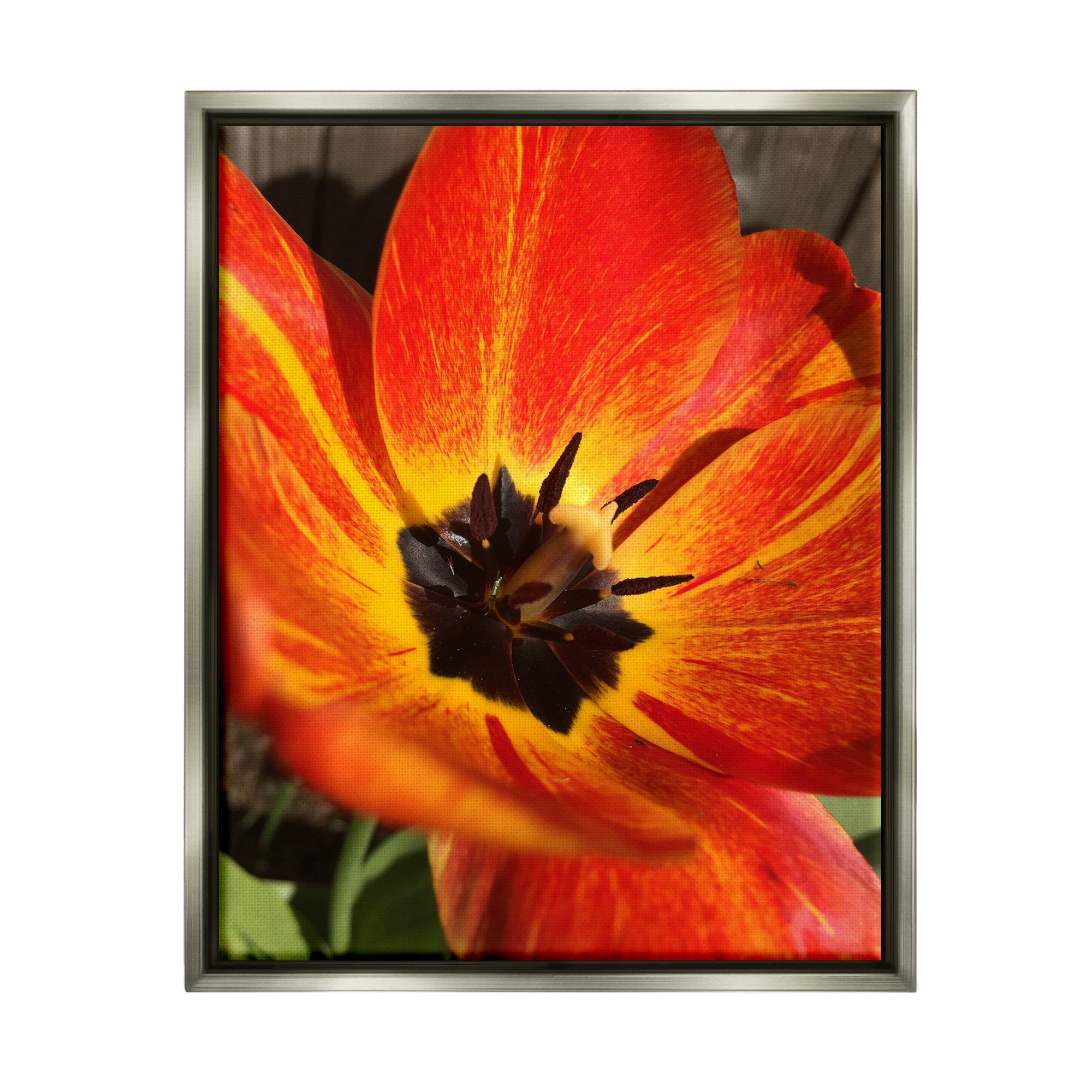 Stupell Industries Bold Red Poppy Flower Blossom Petals Photograph Luster Gray Floating Framed Canvas Print Wall Art, Design by Heidi Bannon