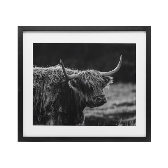 Stupell Industries Bold Scottish Highland Black Framed Print Under Glass design by Crystal Lynn Collins, 13 x 16