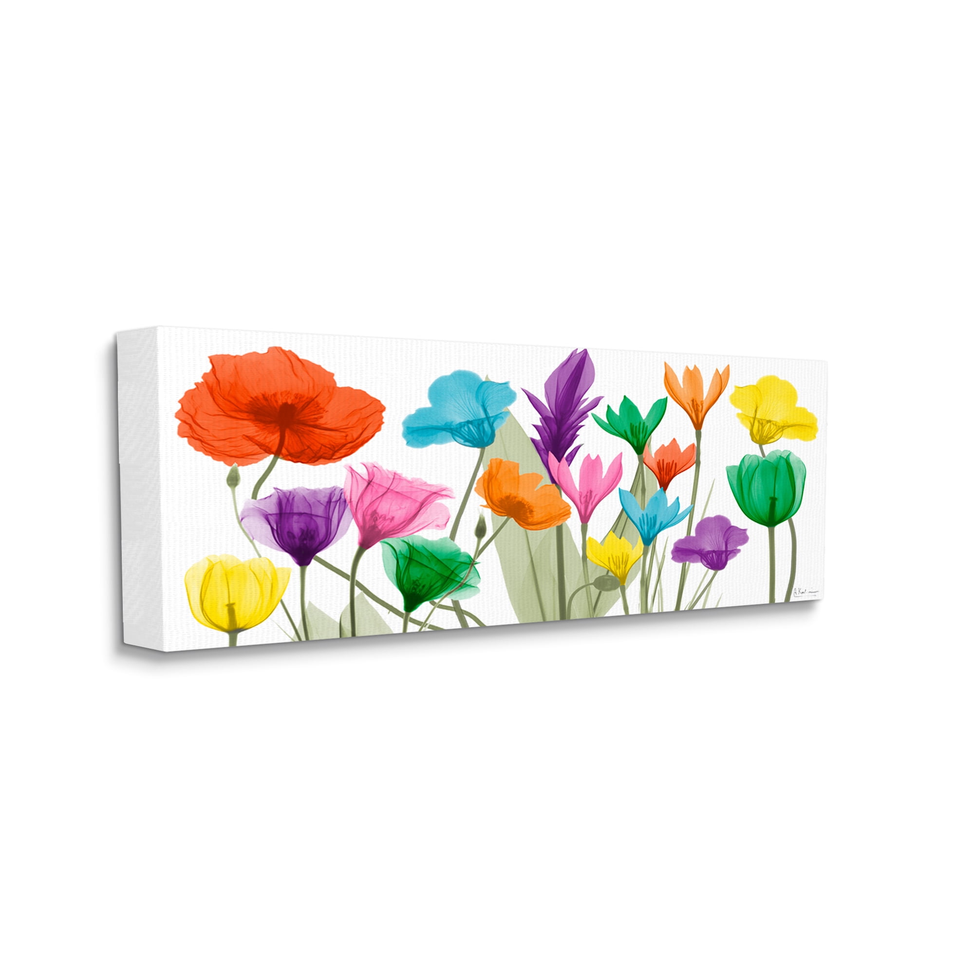 Stupell Industries Bold Spring Floral Arrangement Translucent Plant Botanical & Floral Photography Gallery Wrapped Canvas Print Wall Art, 17 x 40
