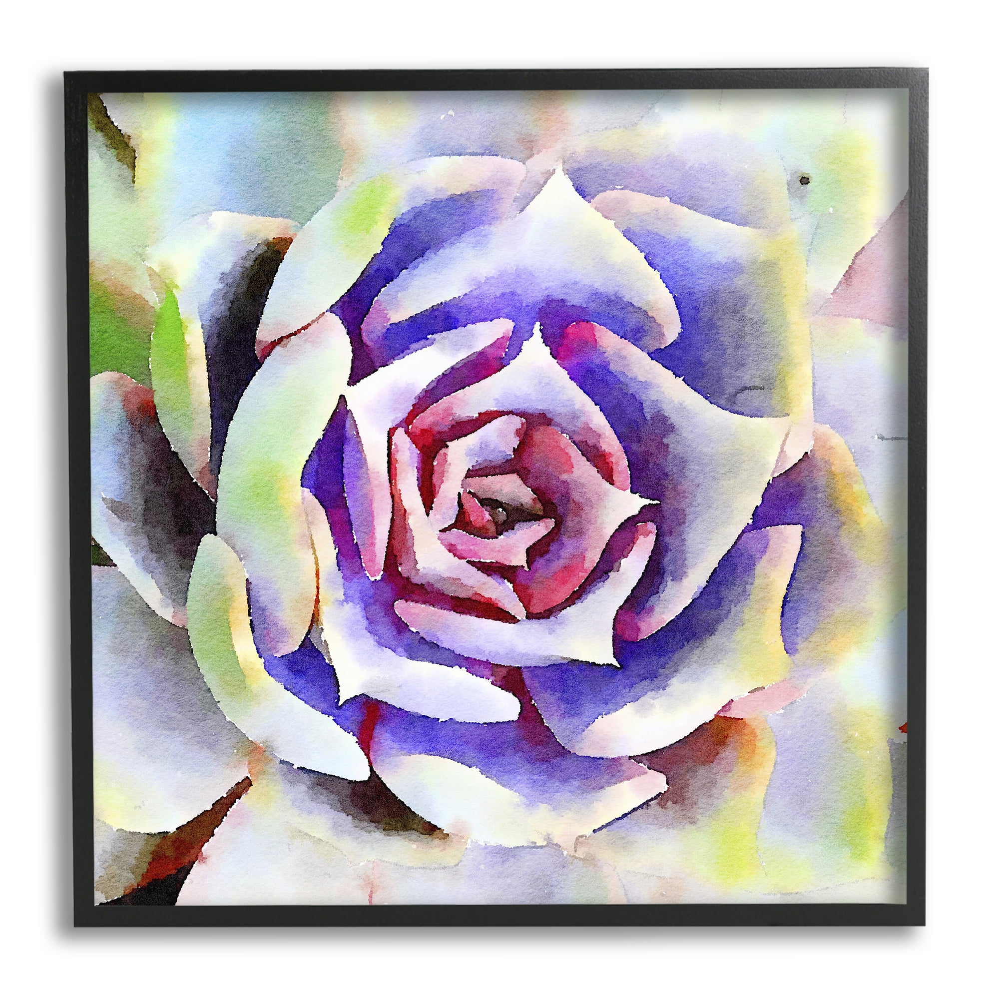 Stupell Industries Bold Succulent Watercolor Leaves Botanical & Floral Painting Black Framed Art Print Wall Art